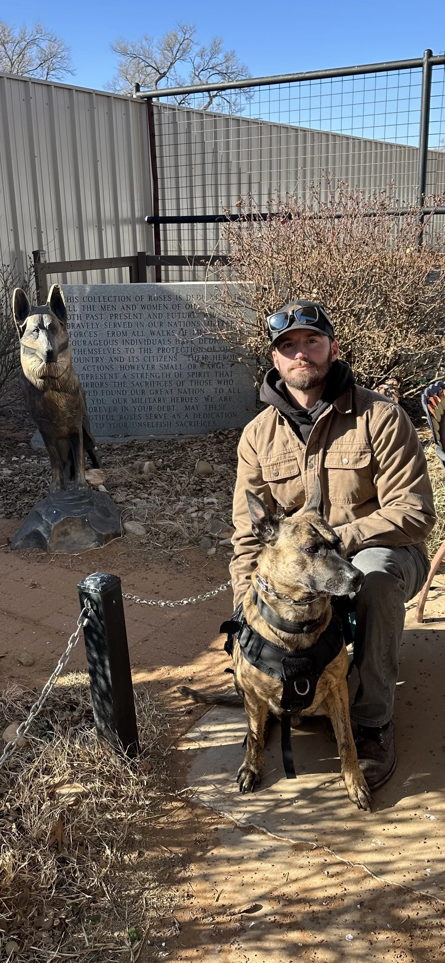 A man sitting outdoors on a bench with a brindle-coated dog on his lap, next to a wolf statue and a memorial plaque, during a sunny day with clear blue skies.