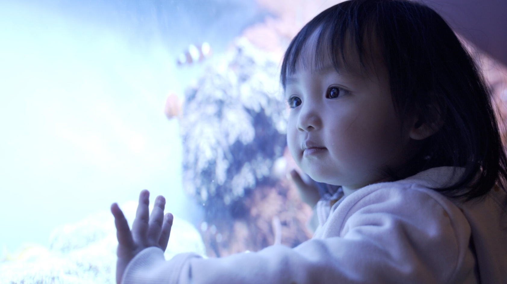 In Search of Us (Shorts Program)