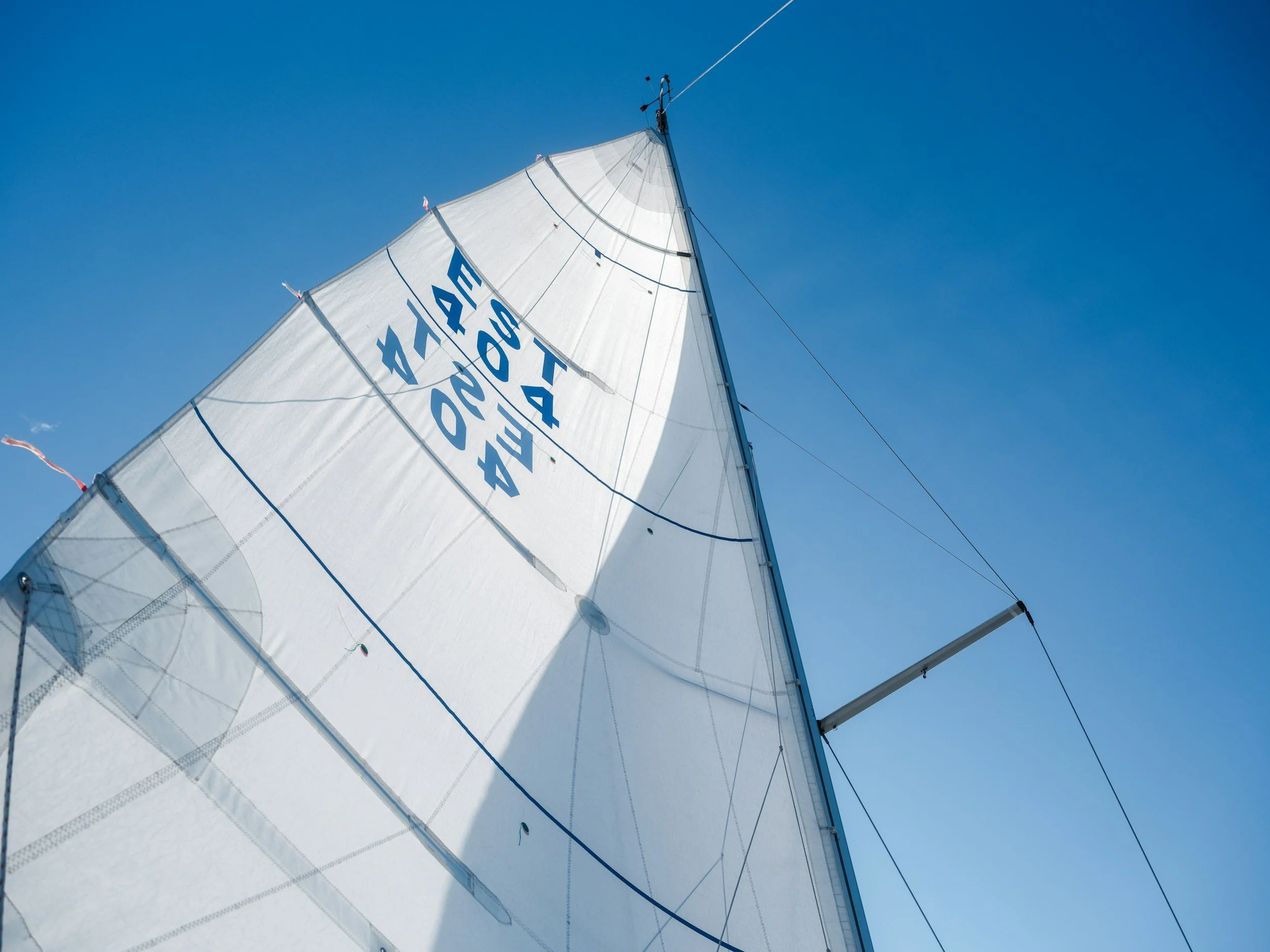 View of a sailboat's white sail against a clear blue sky, with the sail showing some markings and rigging supporting the mast.