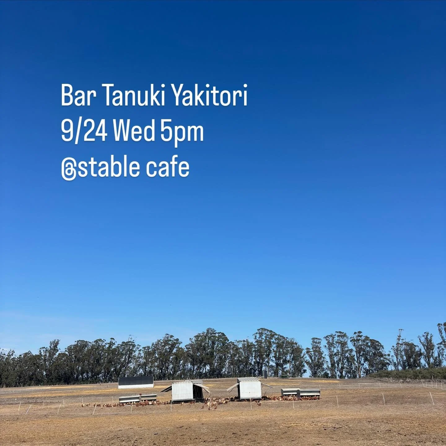 Hi Bar Tanuki and Stable Cafe friends,

We are doing a Yakitori Popup this Wednesday!

Enjoy some nicely charred Yakitori chicken skewers, pickles, mini soups, grilled rice balls, and drinks. 

Come hang with us at the lovely courtyard in the evening