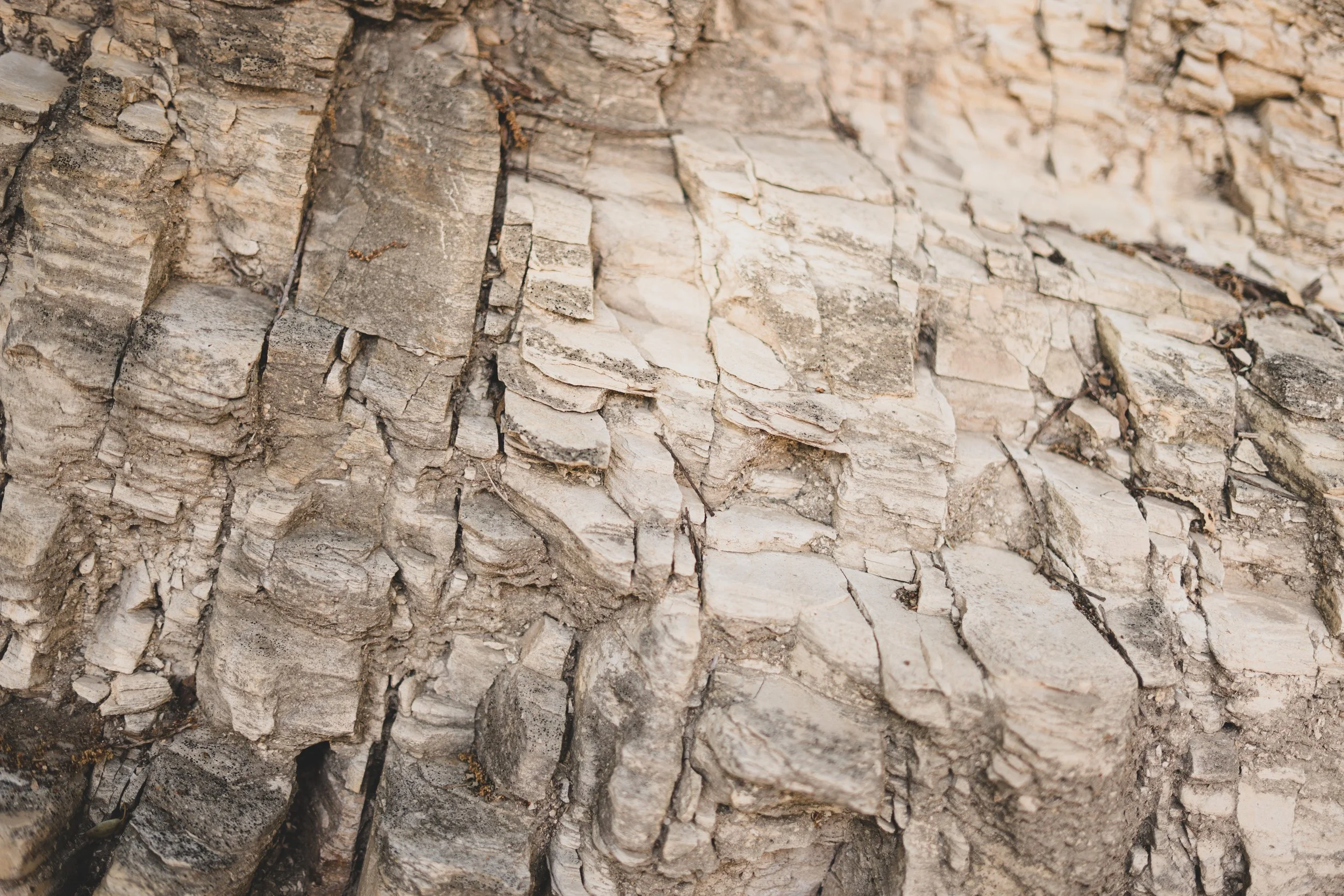 Exposed limestone found around the property