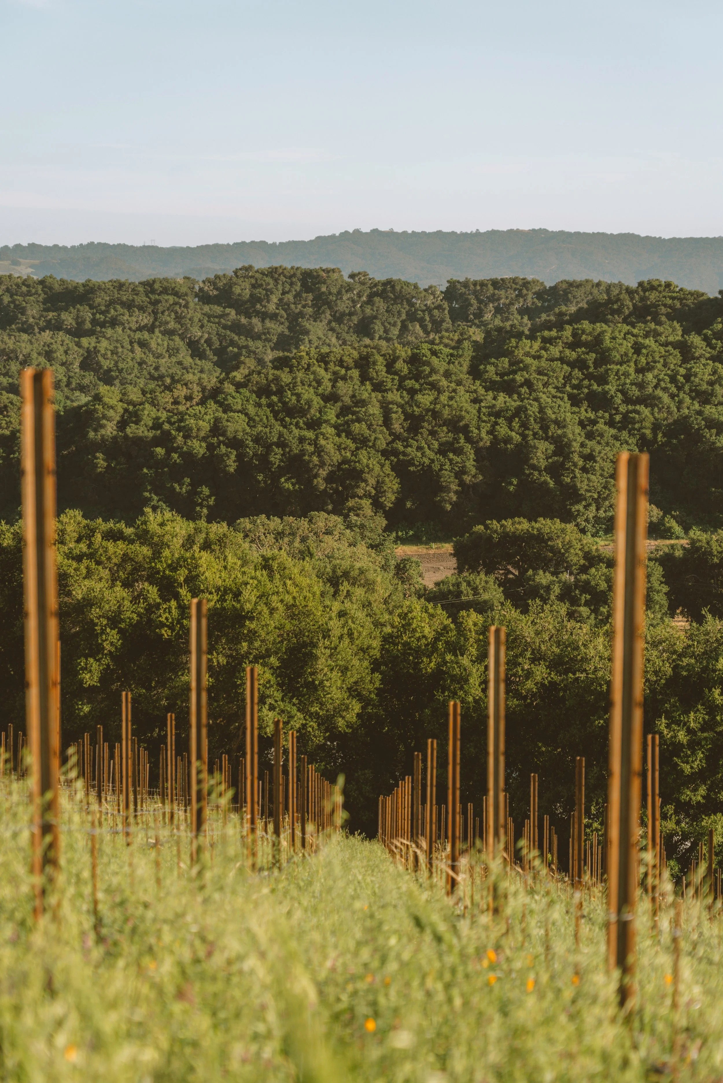 paso_winery-176.jpg