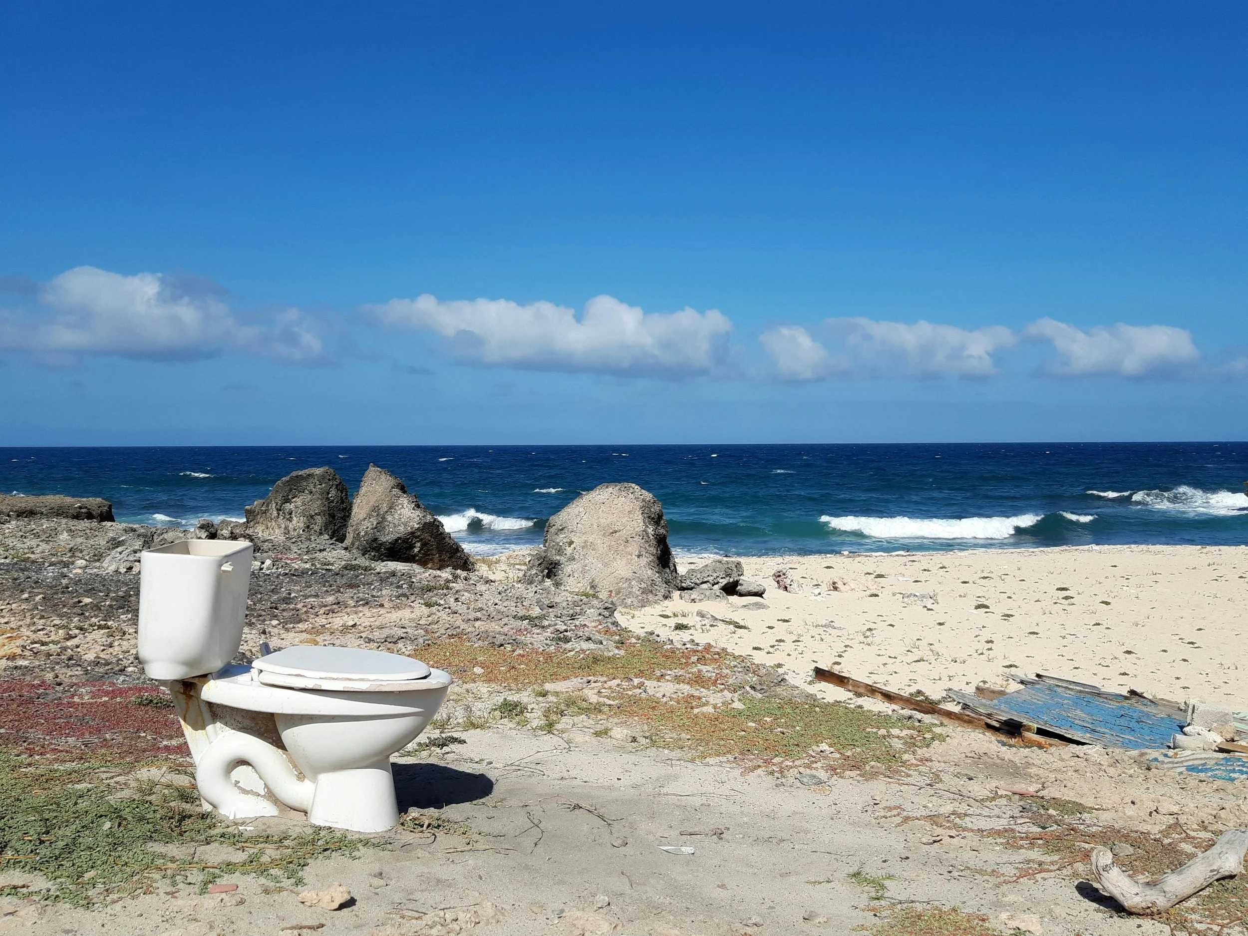 Can You Flush Toilet Paper in Greece? A Definitive Guide for Aussie Travellers