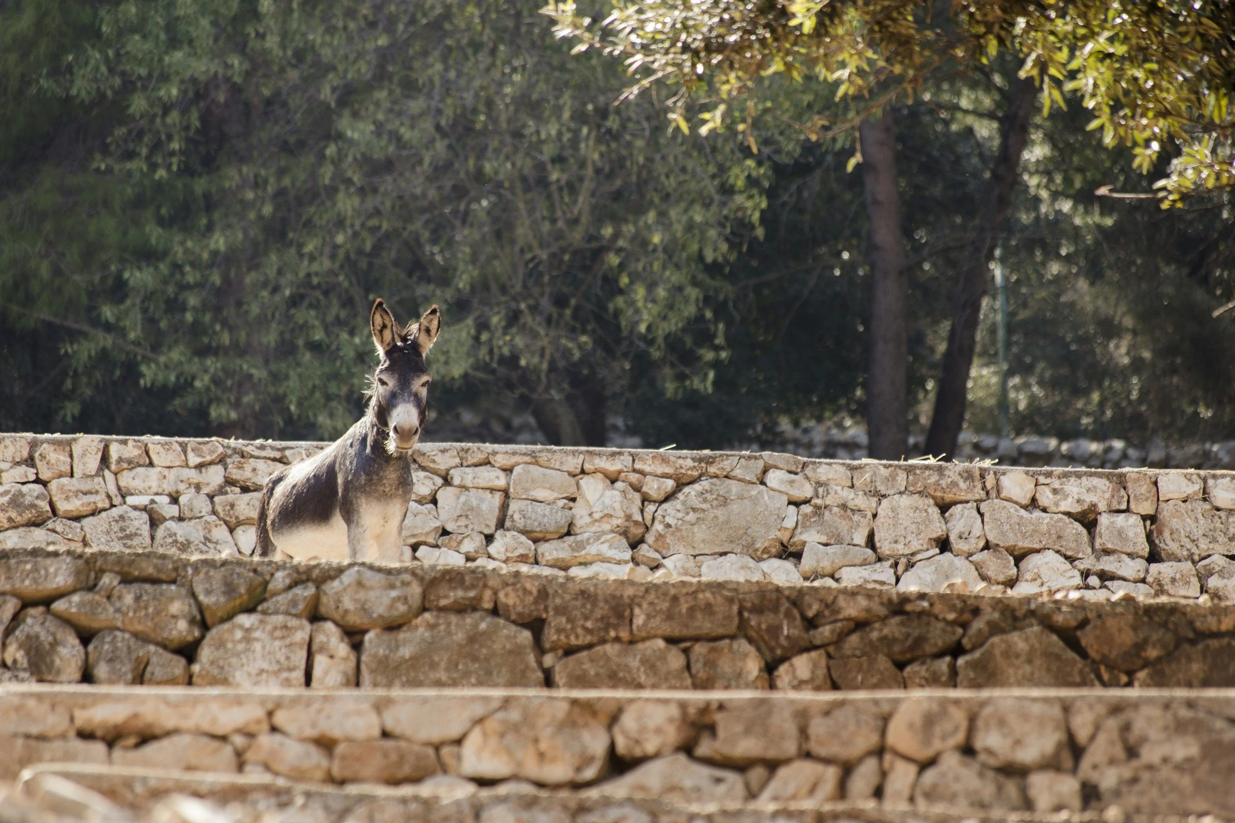 Travel to Greece from Australia