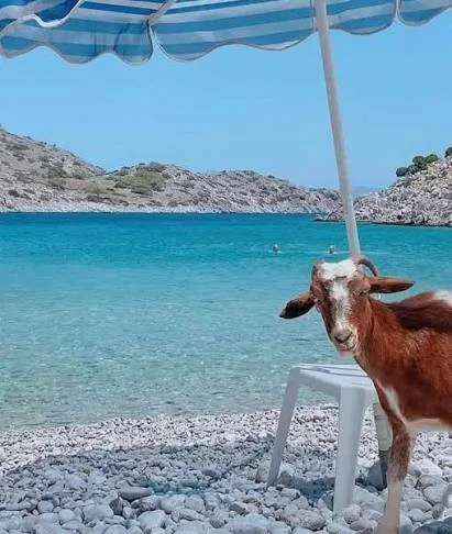 Goat Beach Symi (Marathounda): How to Visit and What It’s Really Like