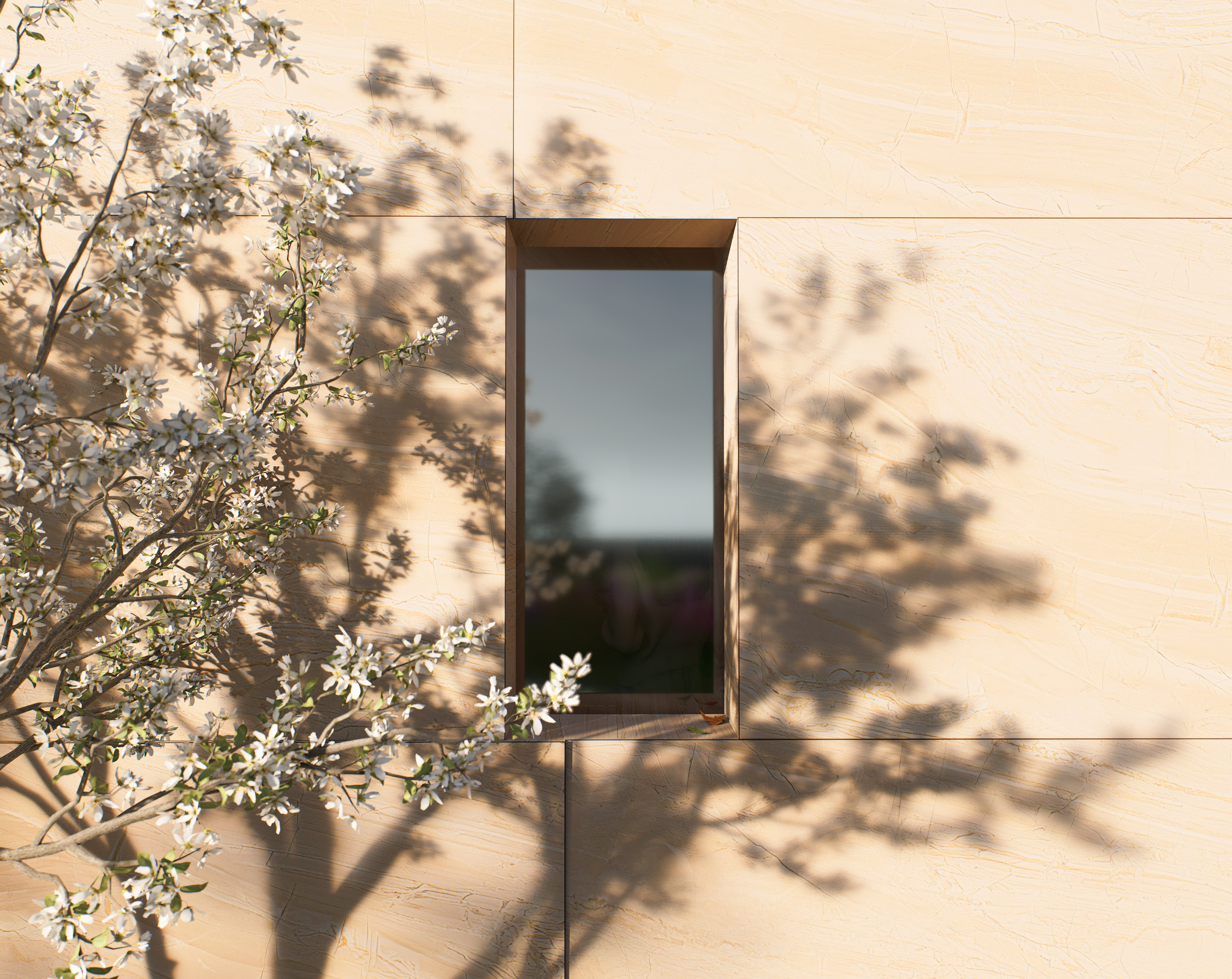 Rectangular window on beige stone wall with tree branch and blossoms casting shadows