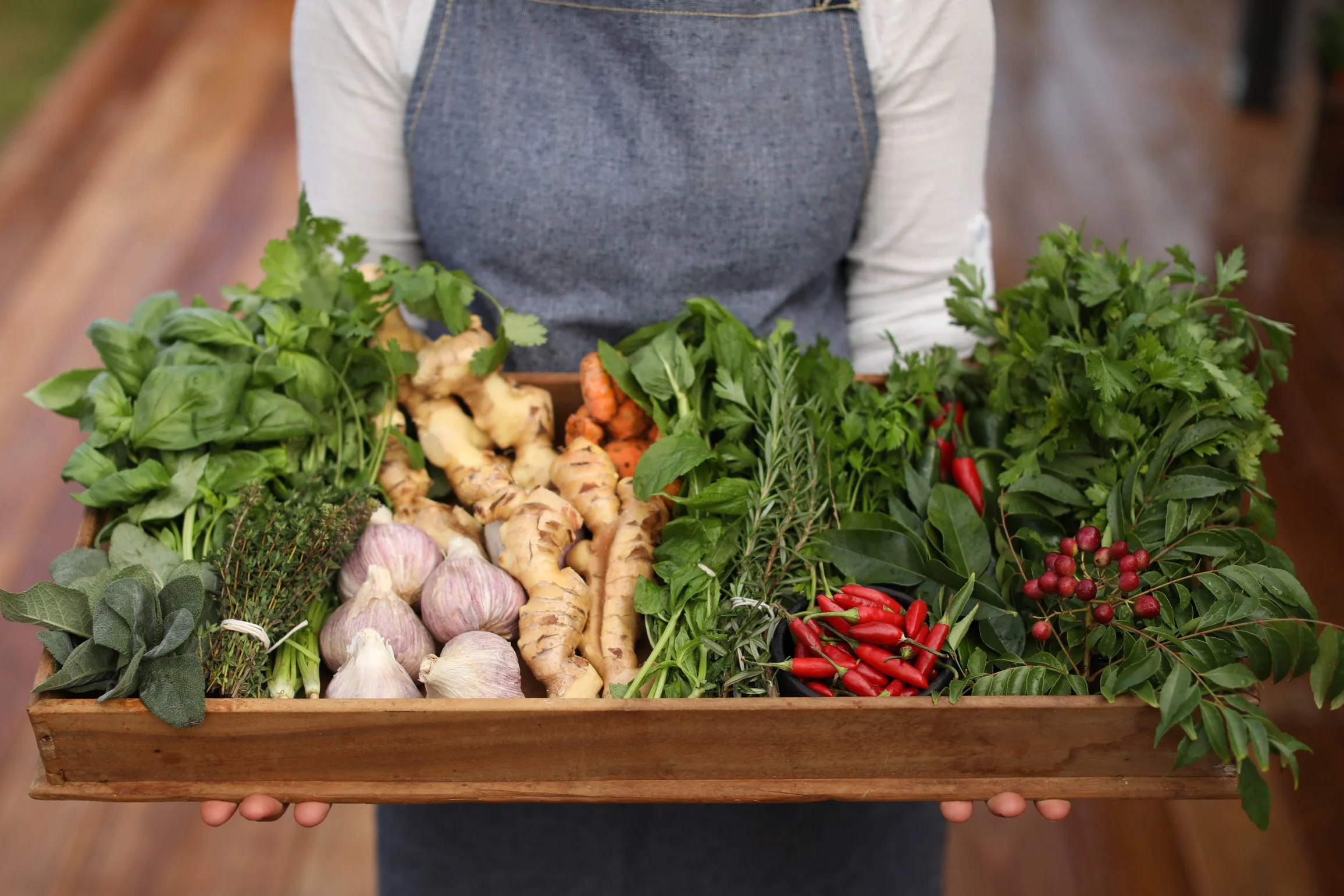 Get inspired with herbs!