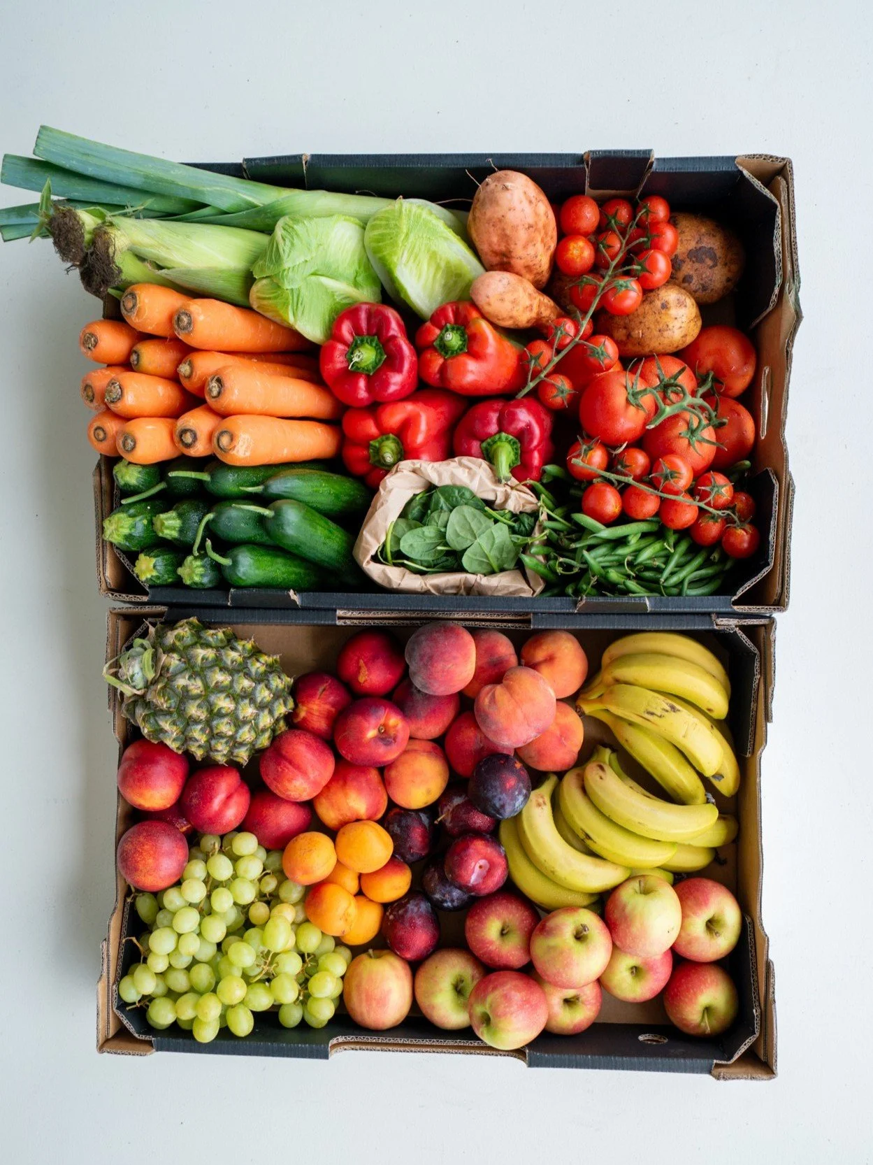 202602 Large portrait.jpg