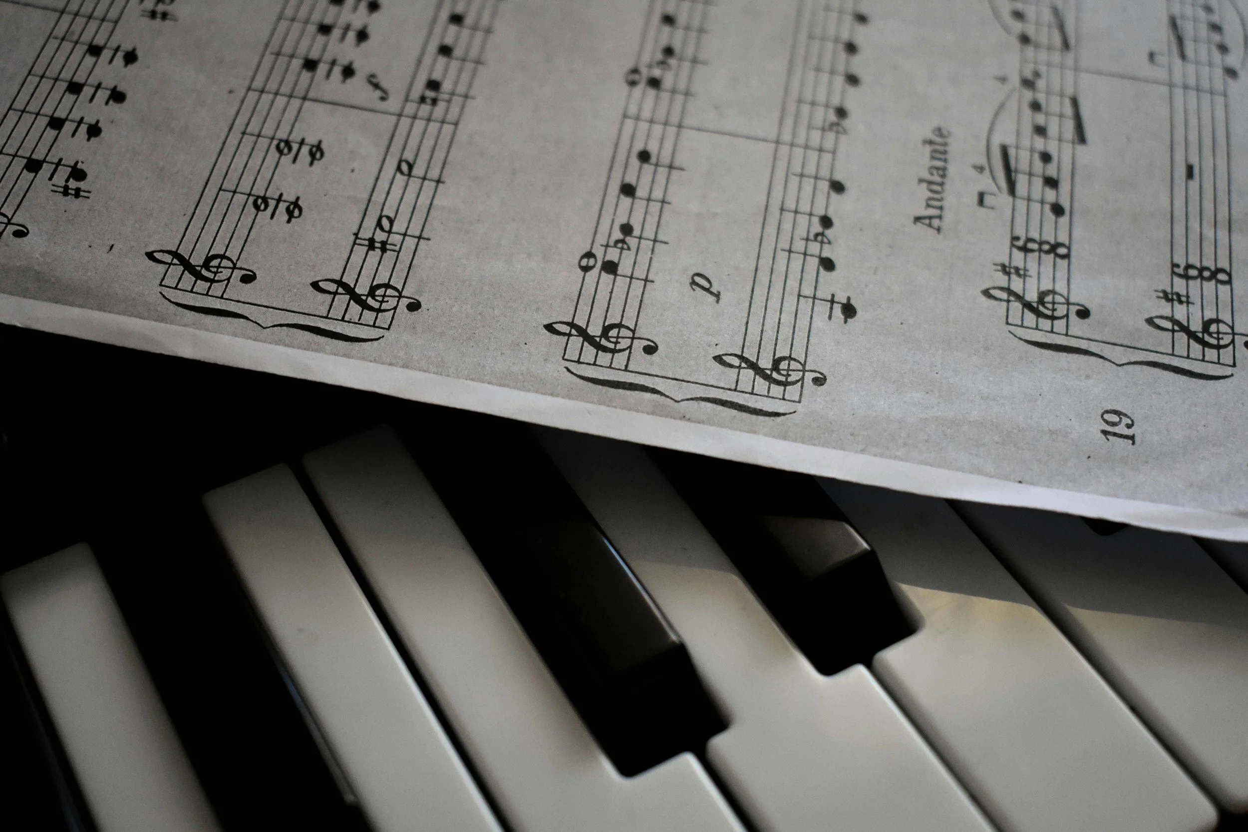 musical guest performance Florida Bahai Summer School