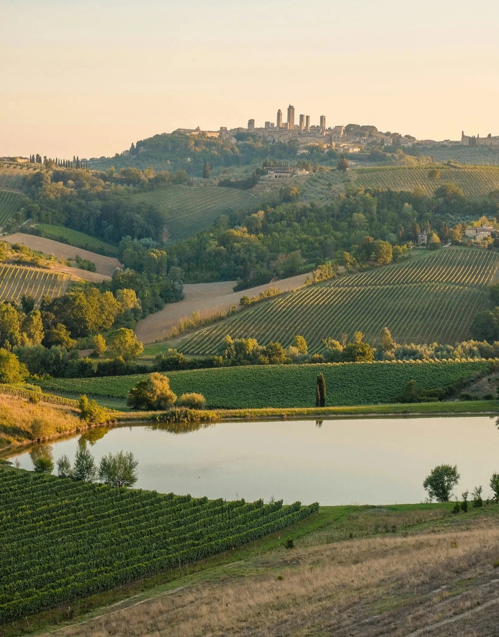 Scenic view of rolling hills with vineyards, a small lake, and a city skyline with tall buildings in the distance.