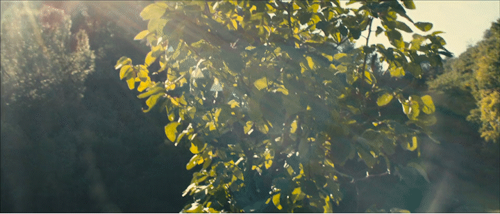 infusion_official_1105817.gif