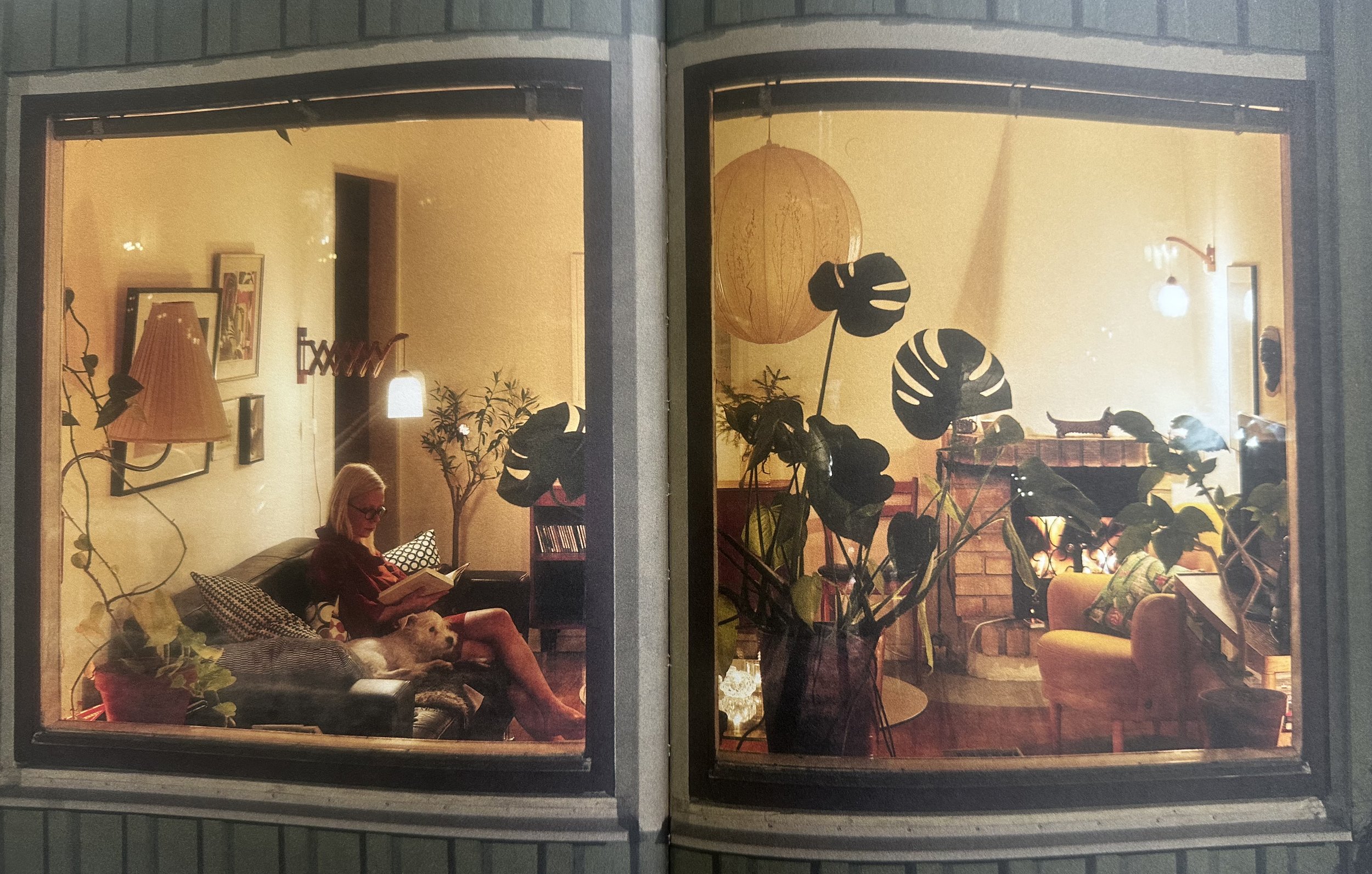 Cosy3.jpg