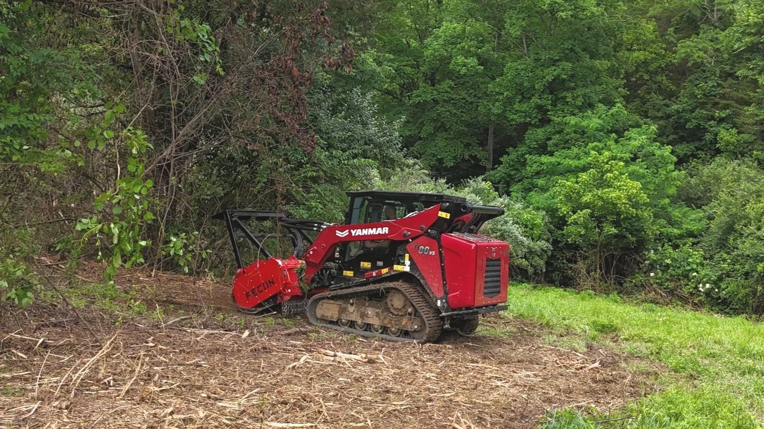 Red Yanmar tracked skid-steer loader clearing land with green trees in the background.
