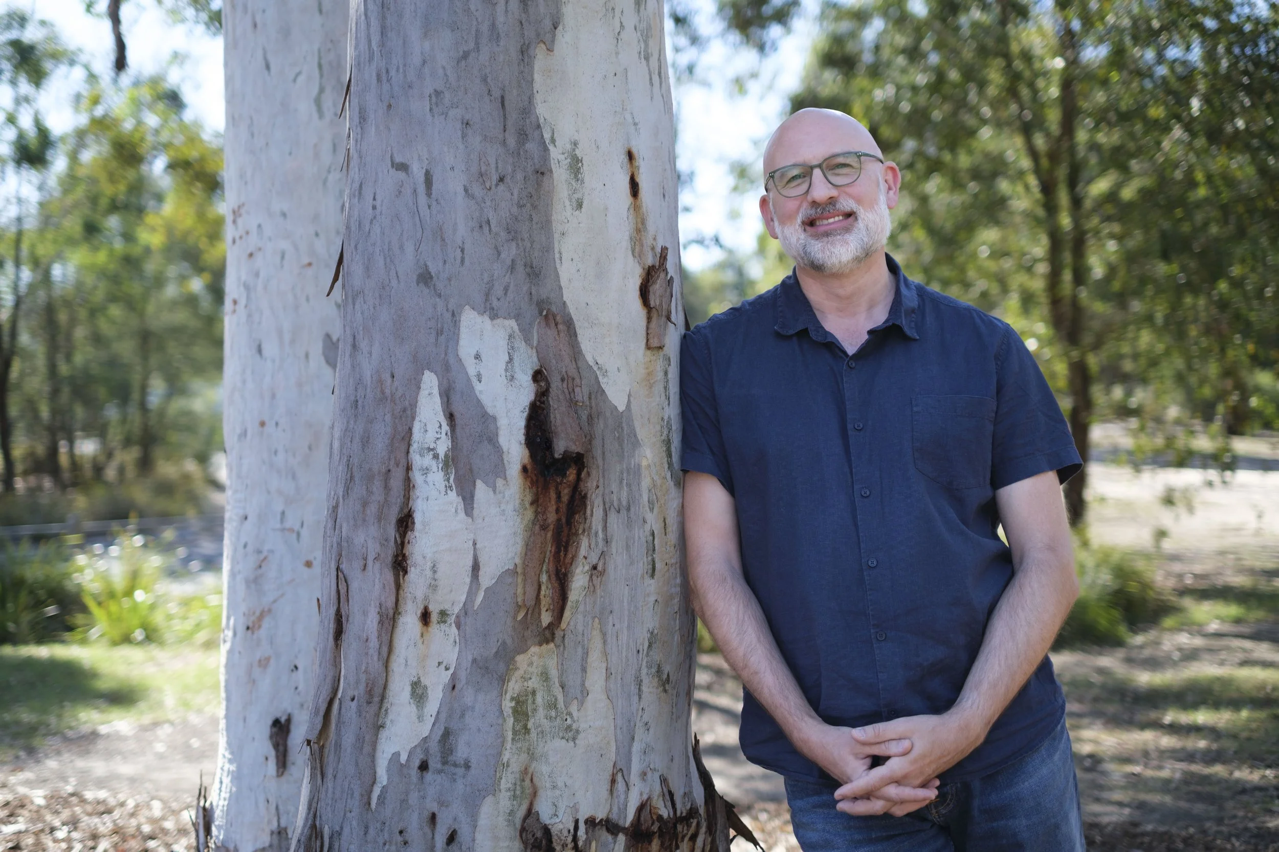 Interim vs Consultant