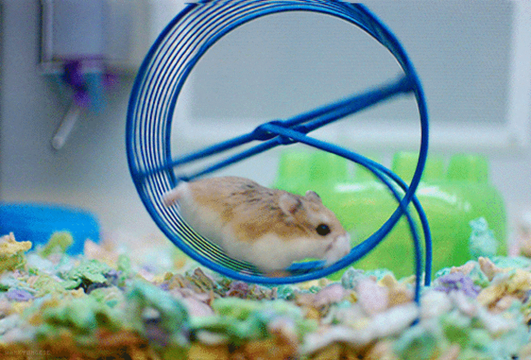 Going nowhere - blame the hamster or the wheel?