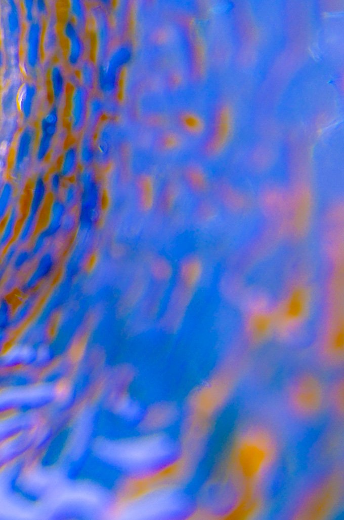 Still Life 3 copy.jpg