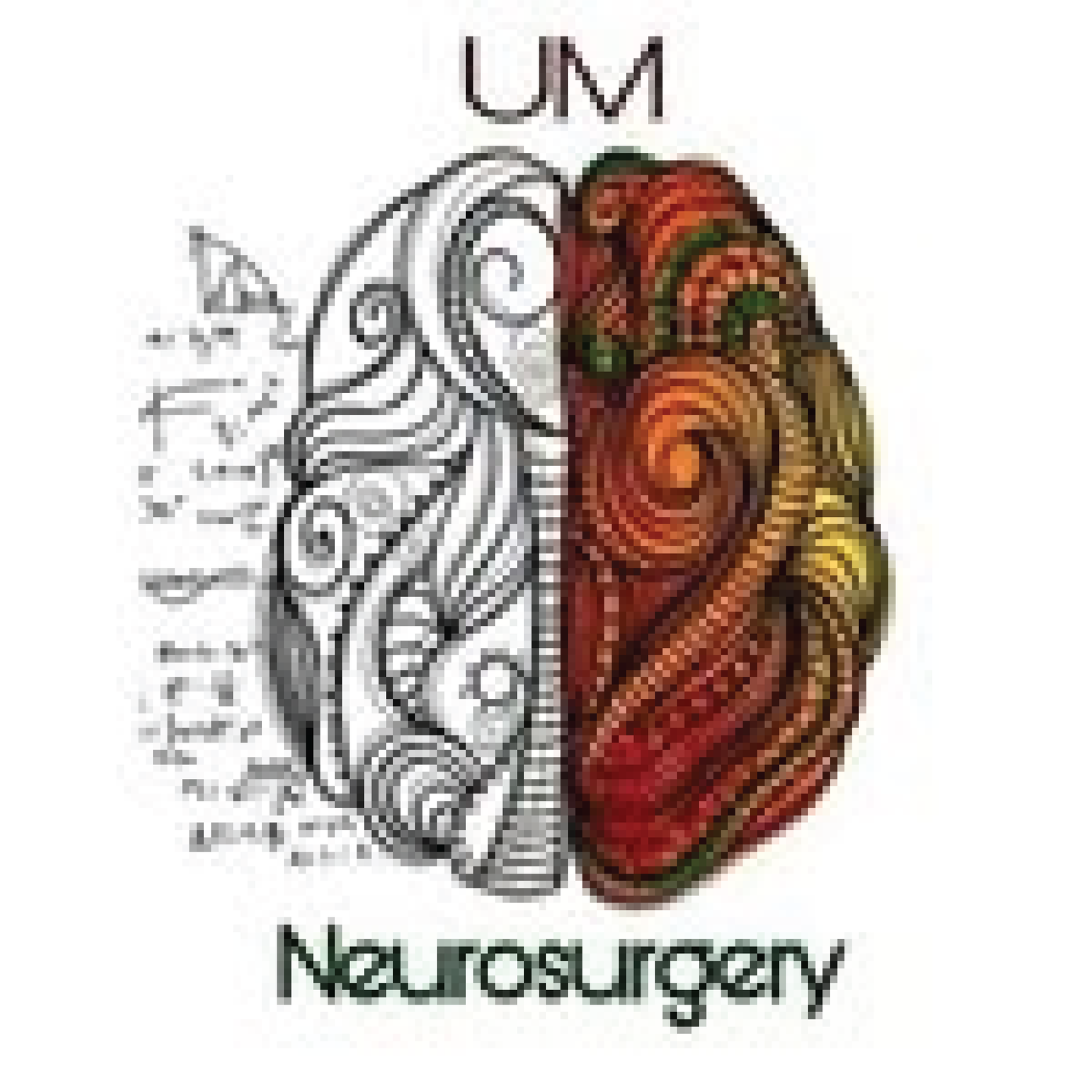 University of Miami Neurosurgery