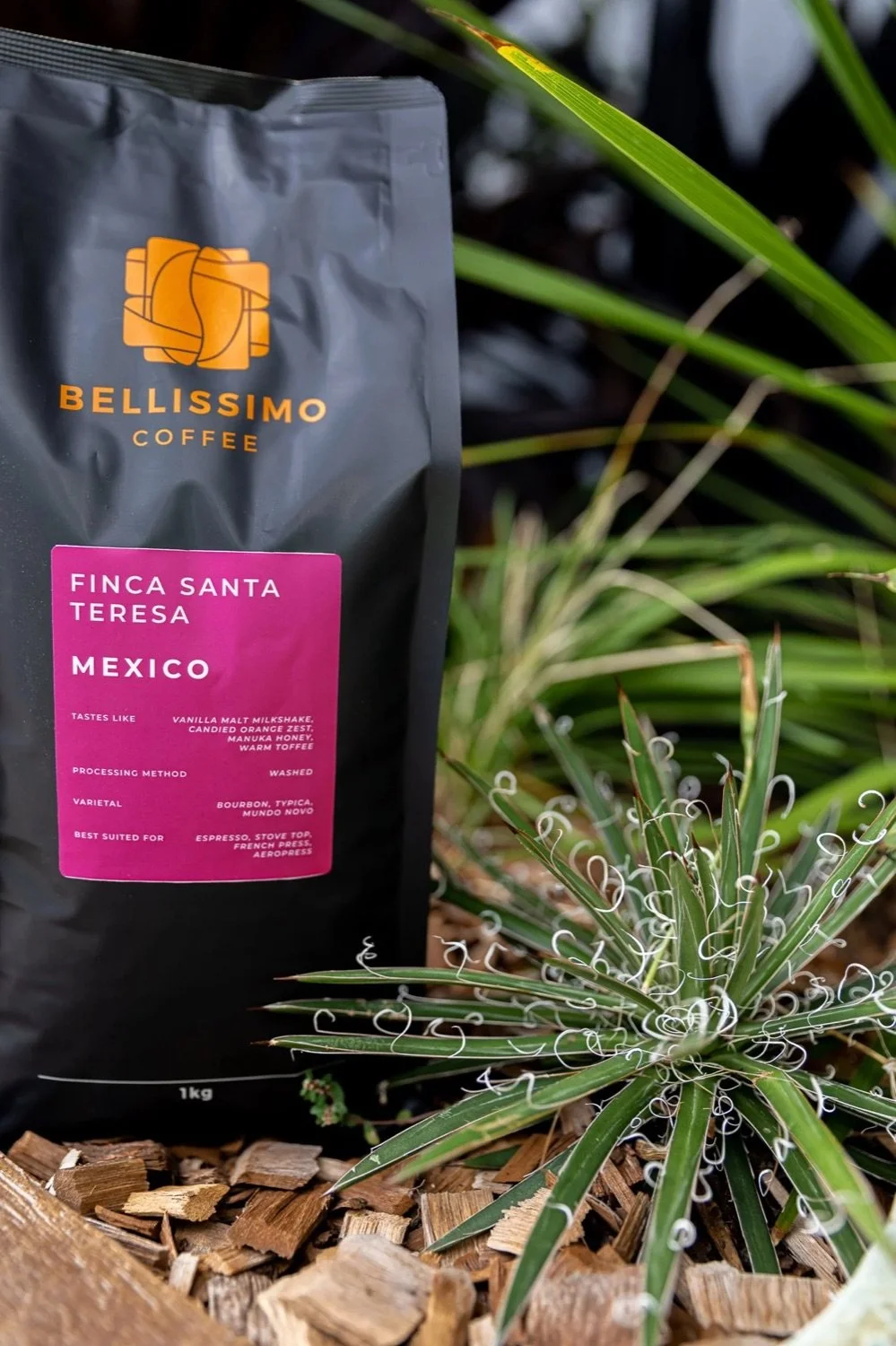 A bag of Bellissimo Coffee with a pink label reading 'Finca Santa Teresa, Mexico'. The bag is placed on wood chips, surrounded by green plants with long, thin leaves.