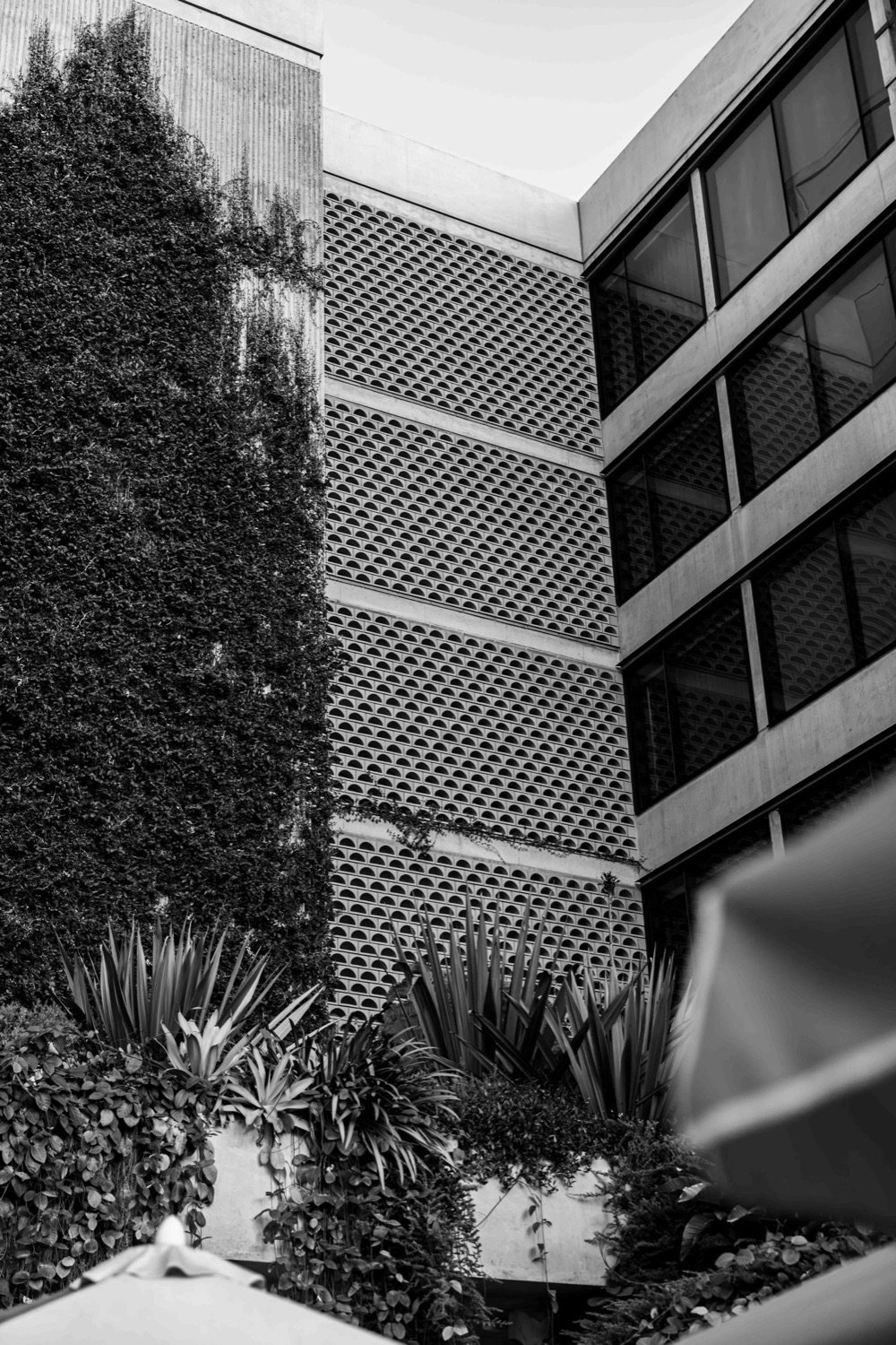 Black and white photo of a modern building with glass windows and decorative concrete panels, surrounded by plants and trees.
