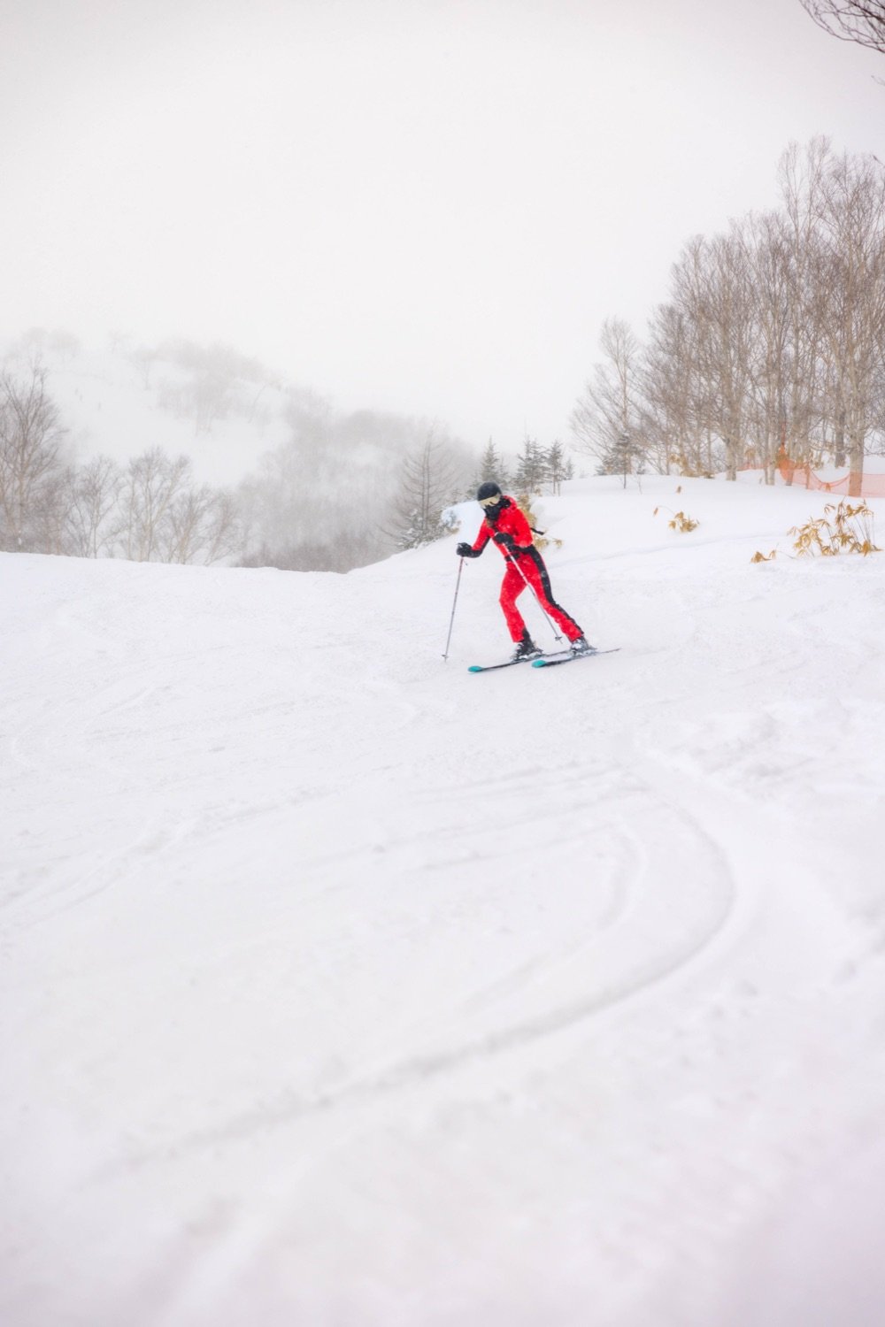 A person skiing on a snow-covered slope during a winter day with a foggy sky and trees in the background.