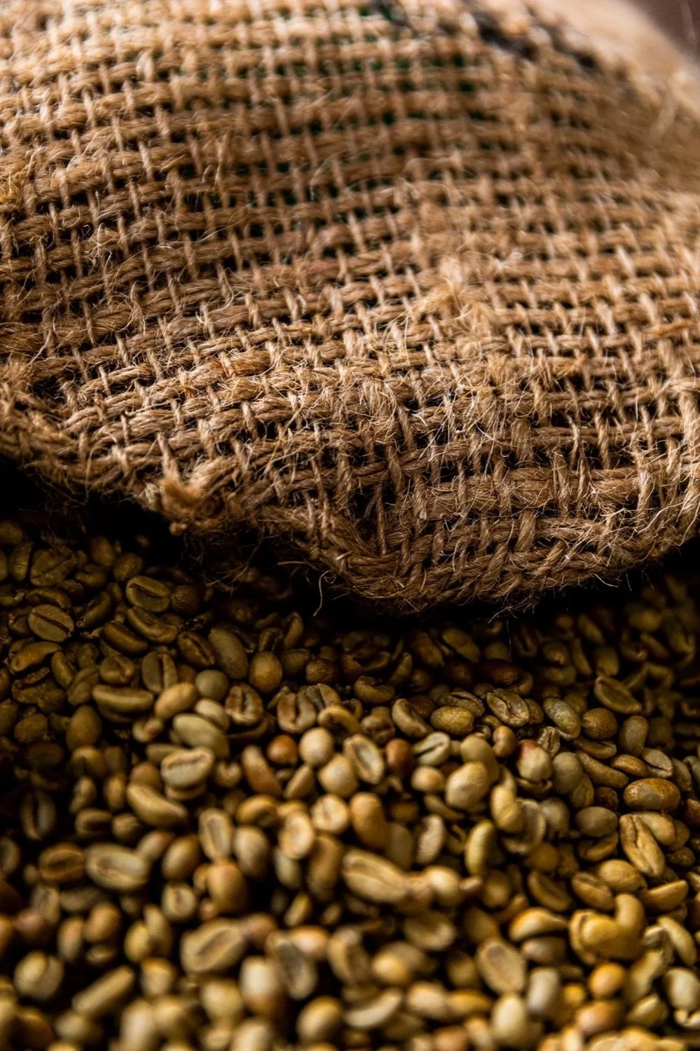 Close-up of green coffee beans spilling from a burlap sack.