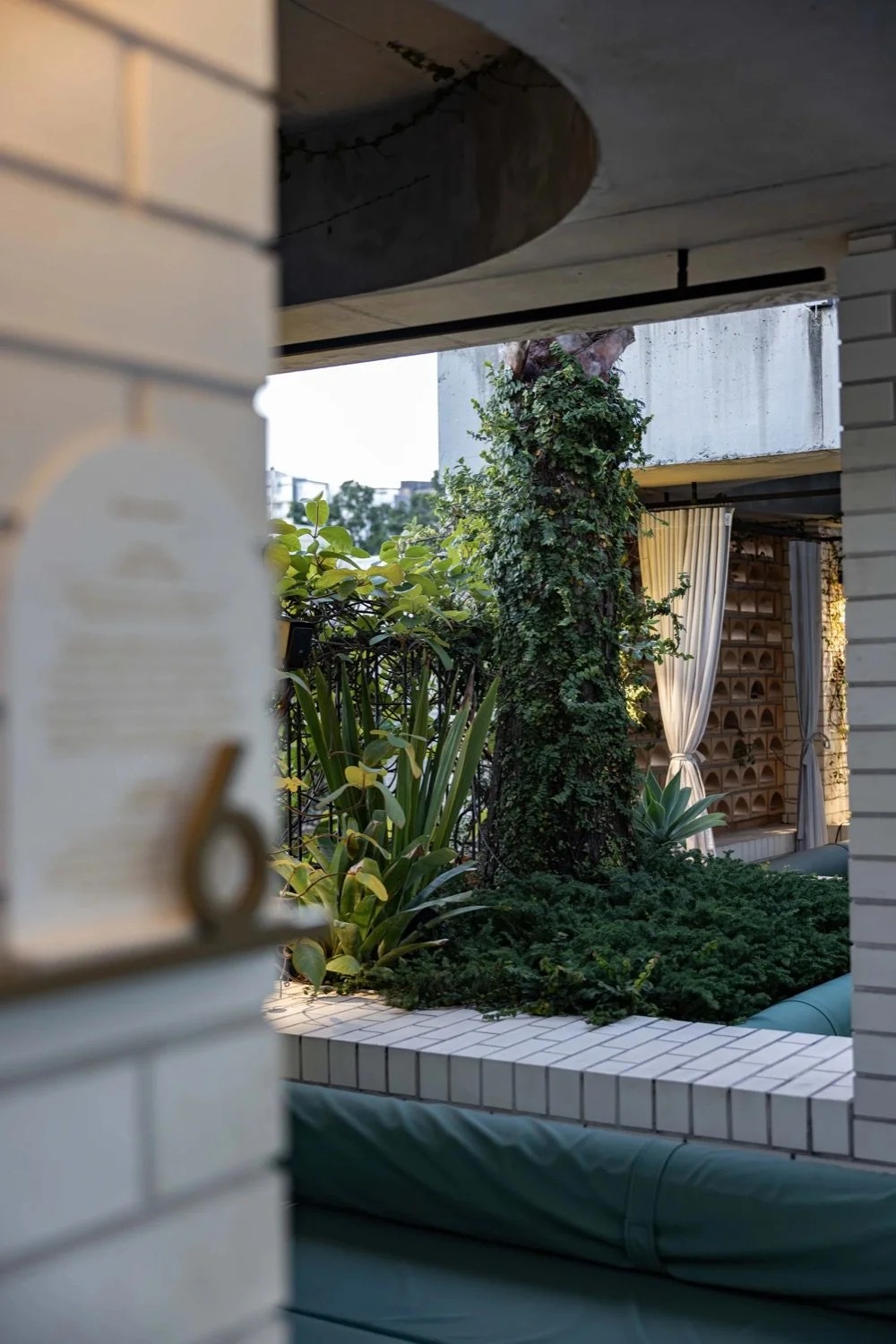 Urban balcony garden with ivy-covered tree trunk, various plants, and beige curtains in the background.