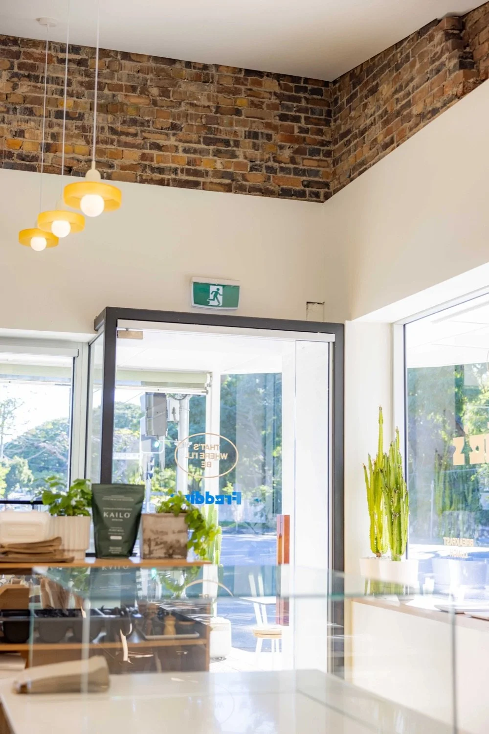 Interior of a modern store or cafe with brick and white walls, hanging yellow pendant lights, a glass display case, houseplants, and a cactus near large windows.