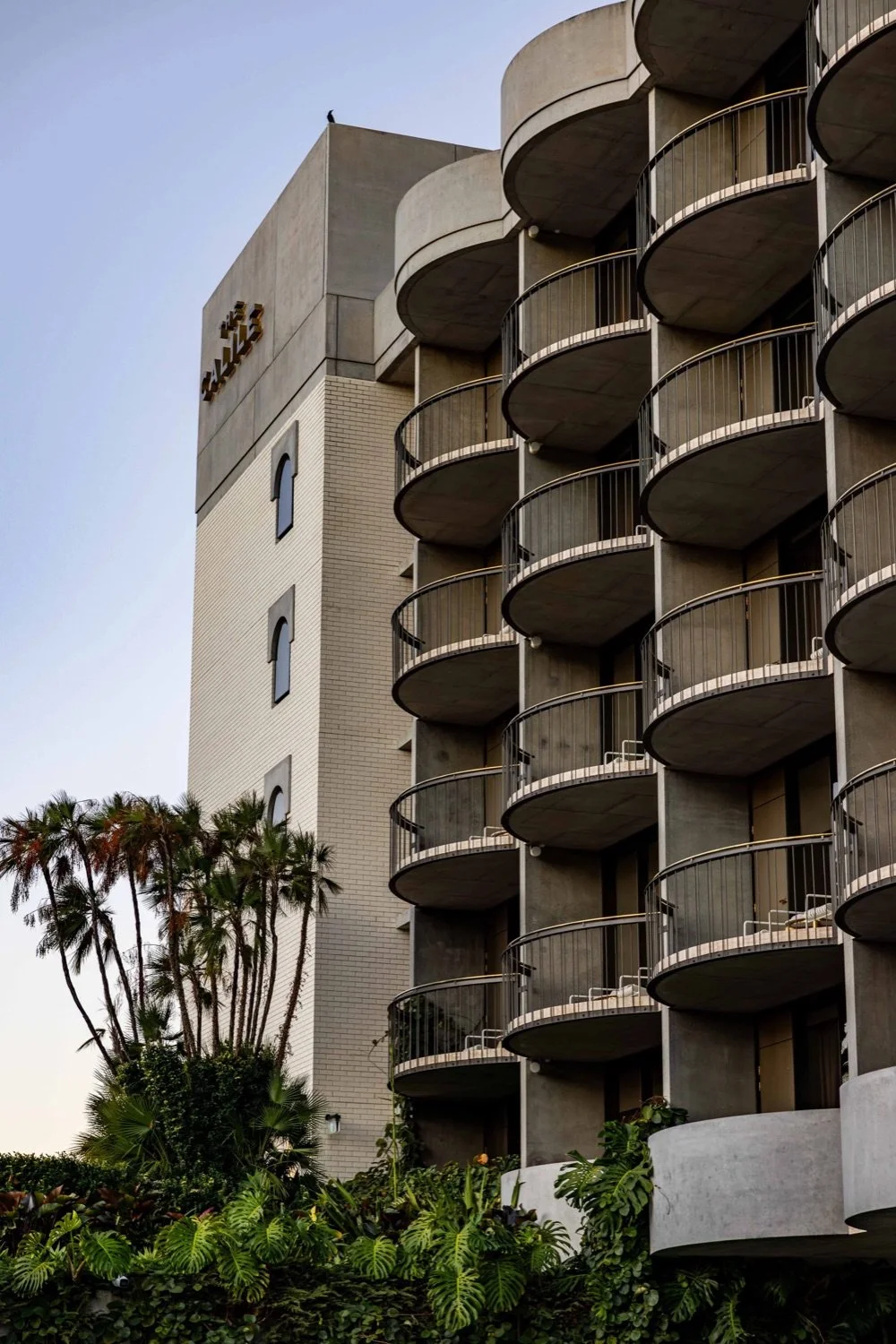 A tall building with multiple curved balconies, palm trees, and the word 'Raleigh' on the upper corner, with a bird on the roof.