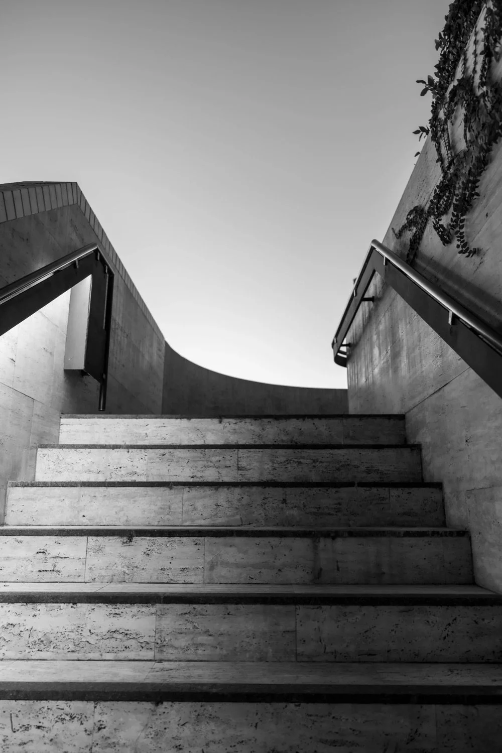 Black and white photo of concrete stairs leading upwards between two concrete walls, with metal handrails on each side, and a clear sky overhead. Some plants are growing on the wall on the right side.