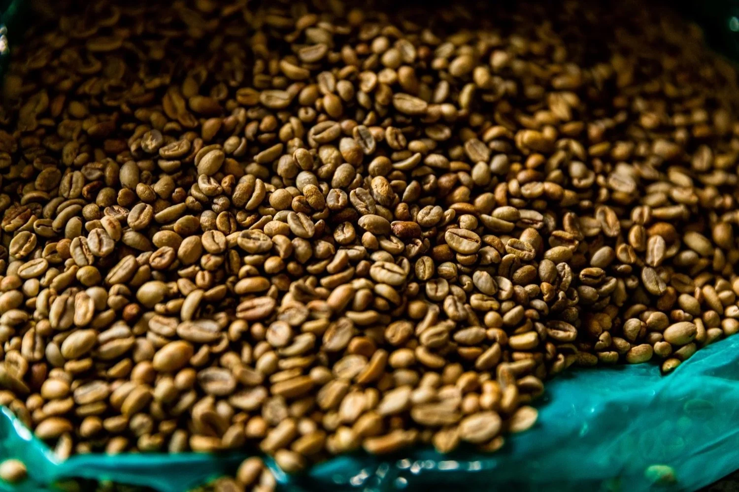 Close-up of unroasted green coffee beans in a bag.