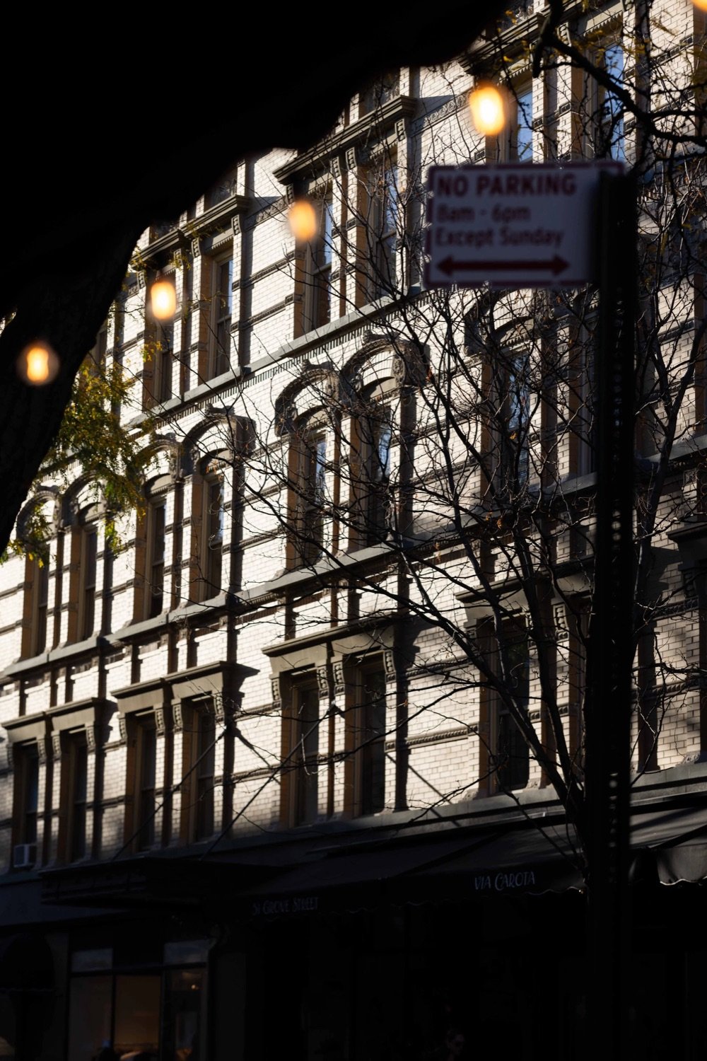 Street scene with a multi-story building, leafless trees, and a 'No Parking' sign, during daylight with sunlight creating shadows.