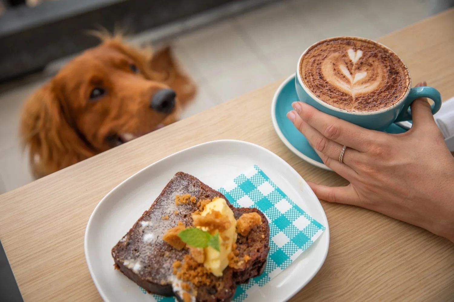 A person holding a blue cup of coffee with foam art, a plate with a slice of cake topped with butter, crumbs, and a mint leaf, while a golden retriever looks up at the table.