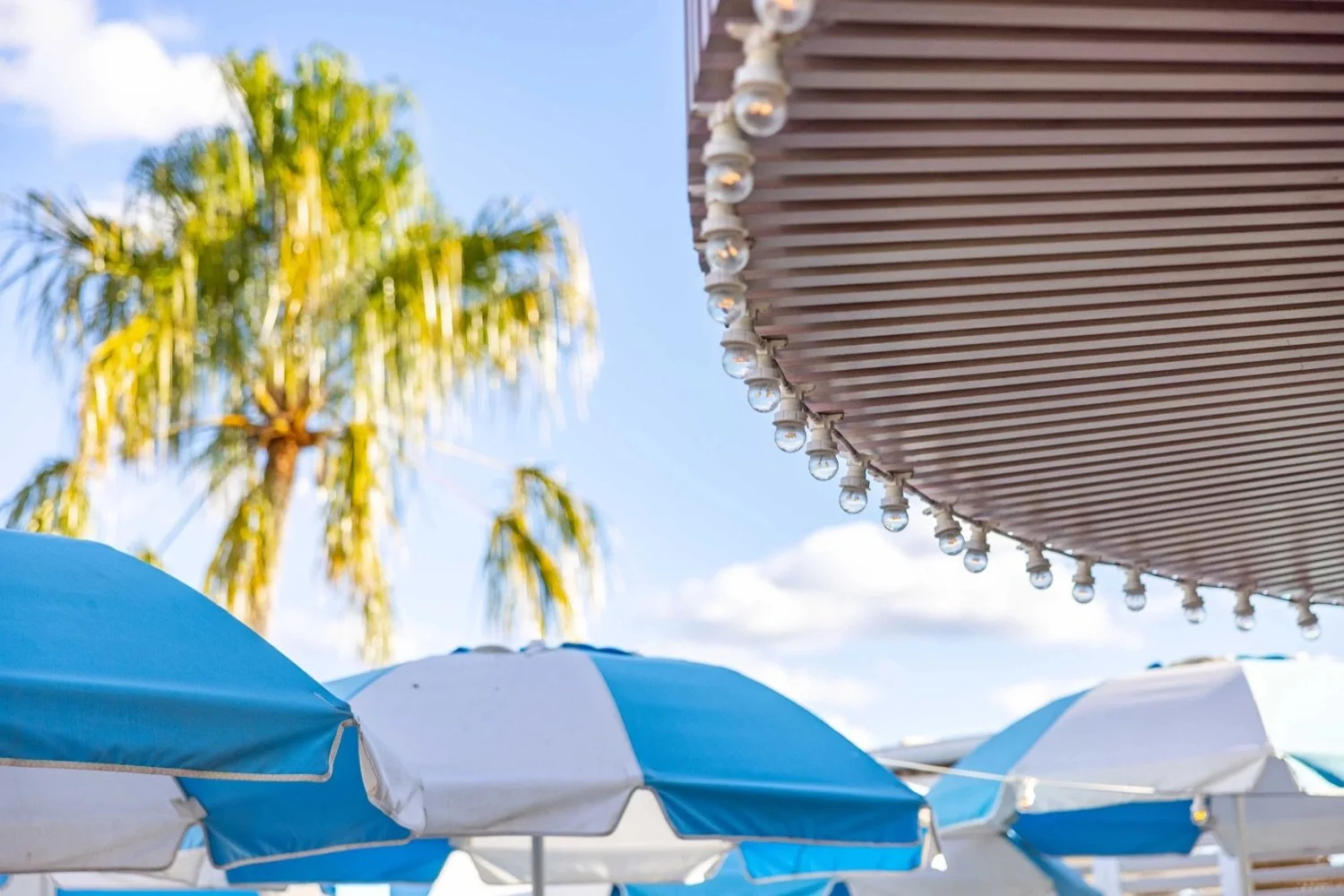 Beach scene with blue and white umbrellas, palm tree, string lights, and a partly cloudy sky.