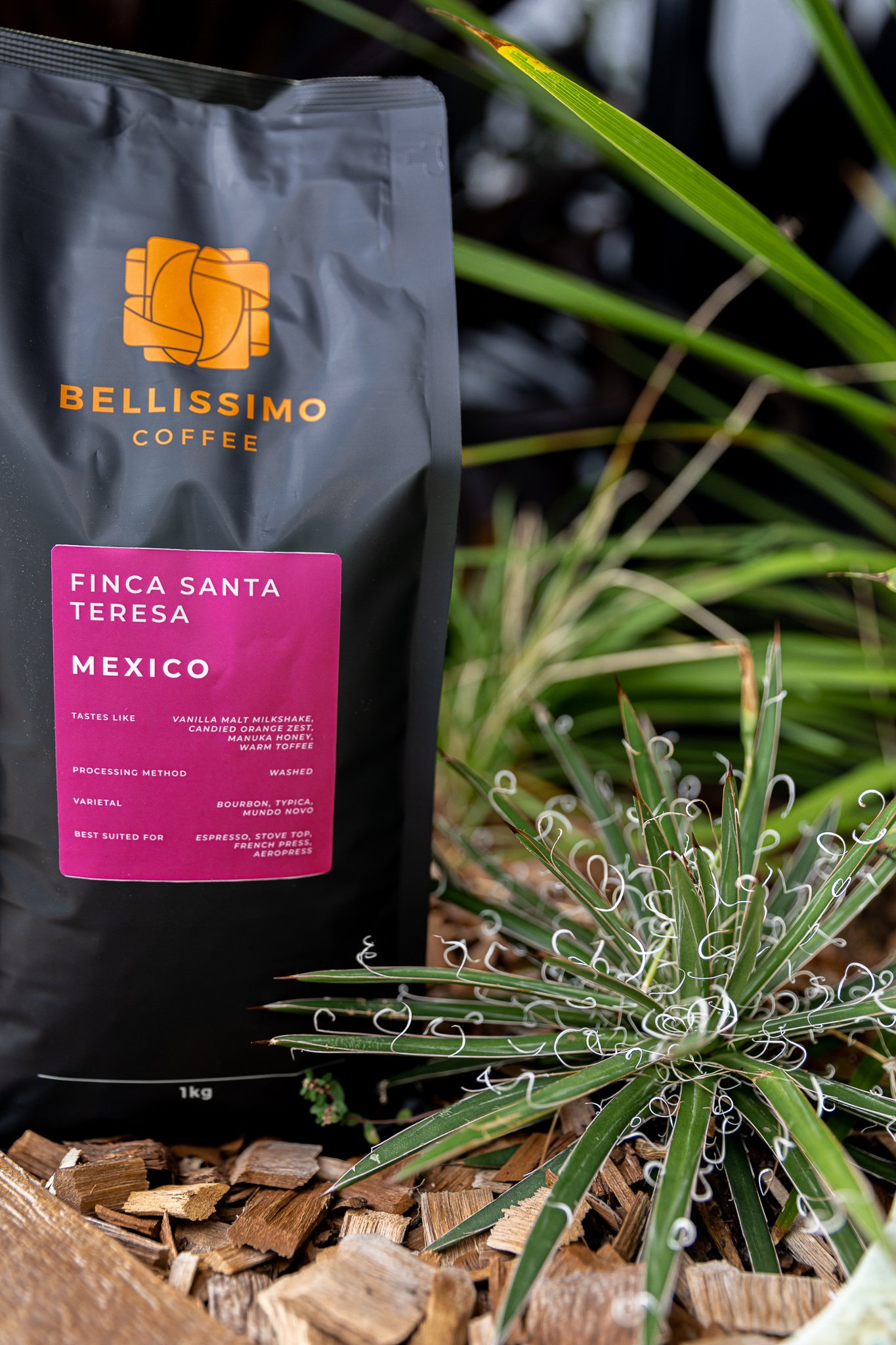 2021_04_08_Bellissimo_Jam_Drops_&_Mexico-28.jpg
