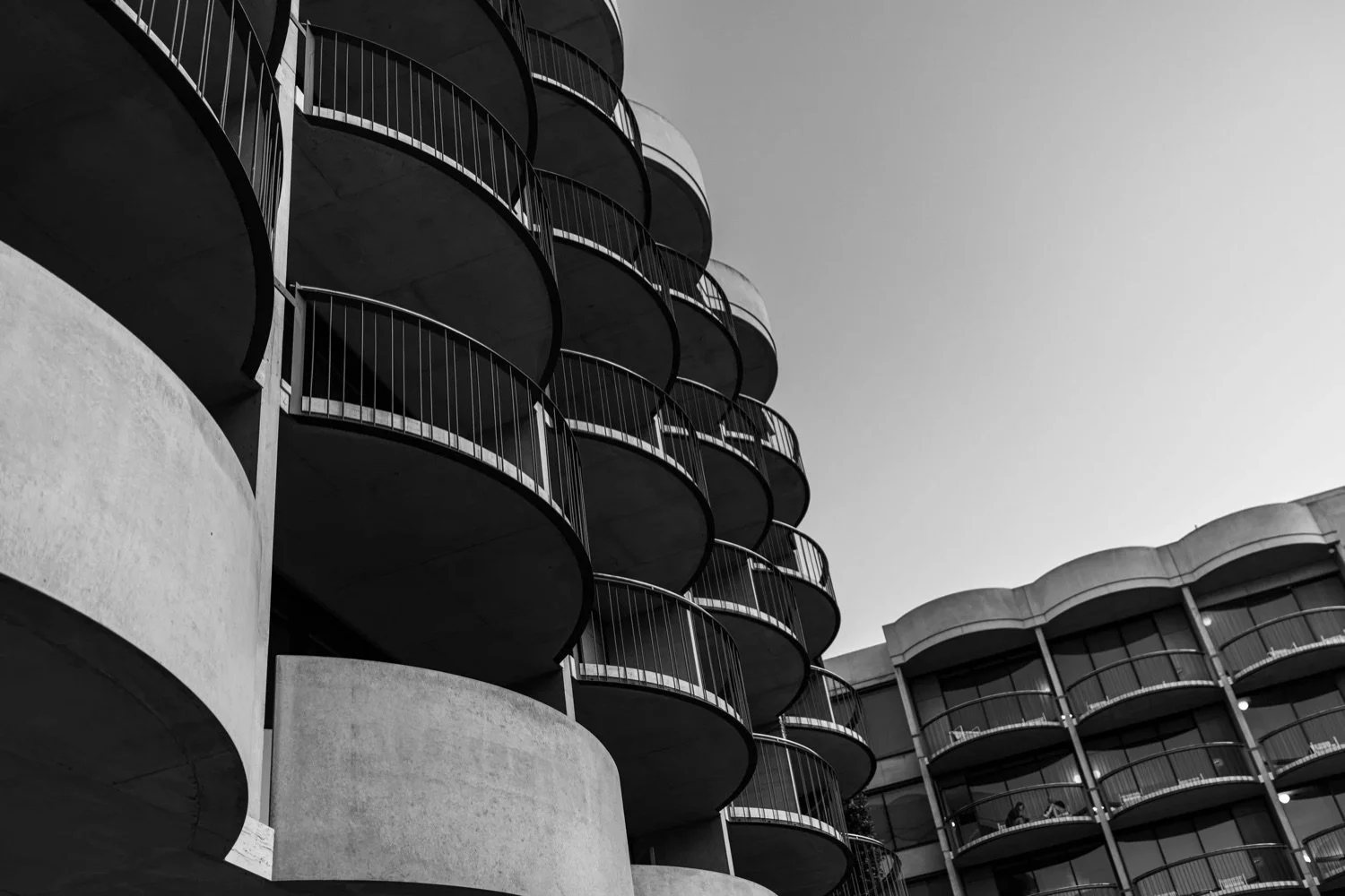 Black and white photograph of modern apartment buildings with curved balconies, viewed from below against a clear sky.