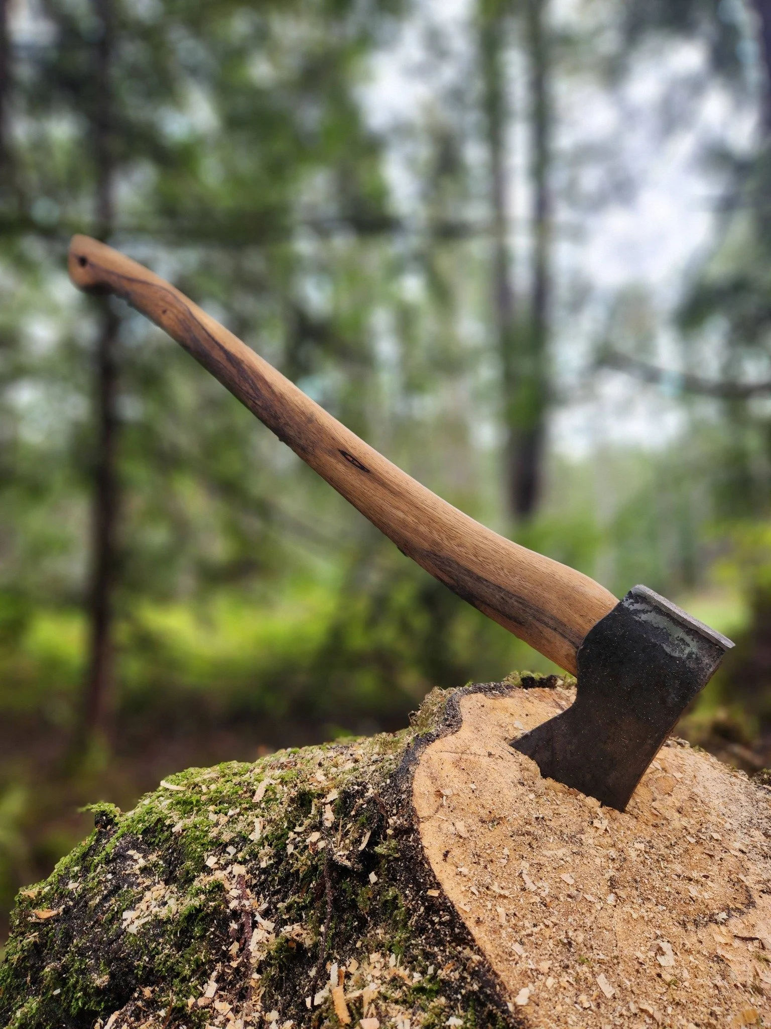 An axe embedded in a tree stump in a forest setting.