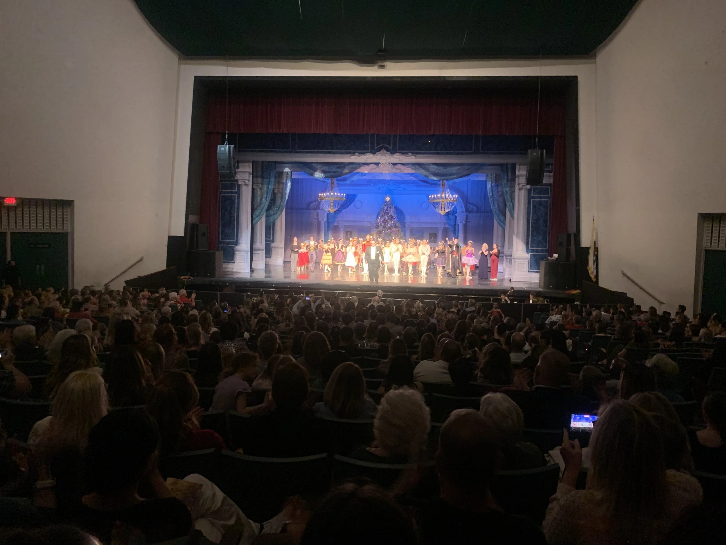 Stage with performers in costume during a Christmas show with a decorated tree, chandeliers, and curtains, in front of an auditorium filled with audience.