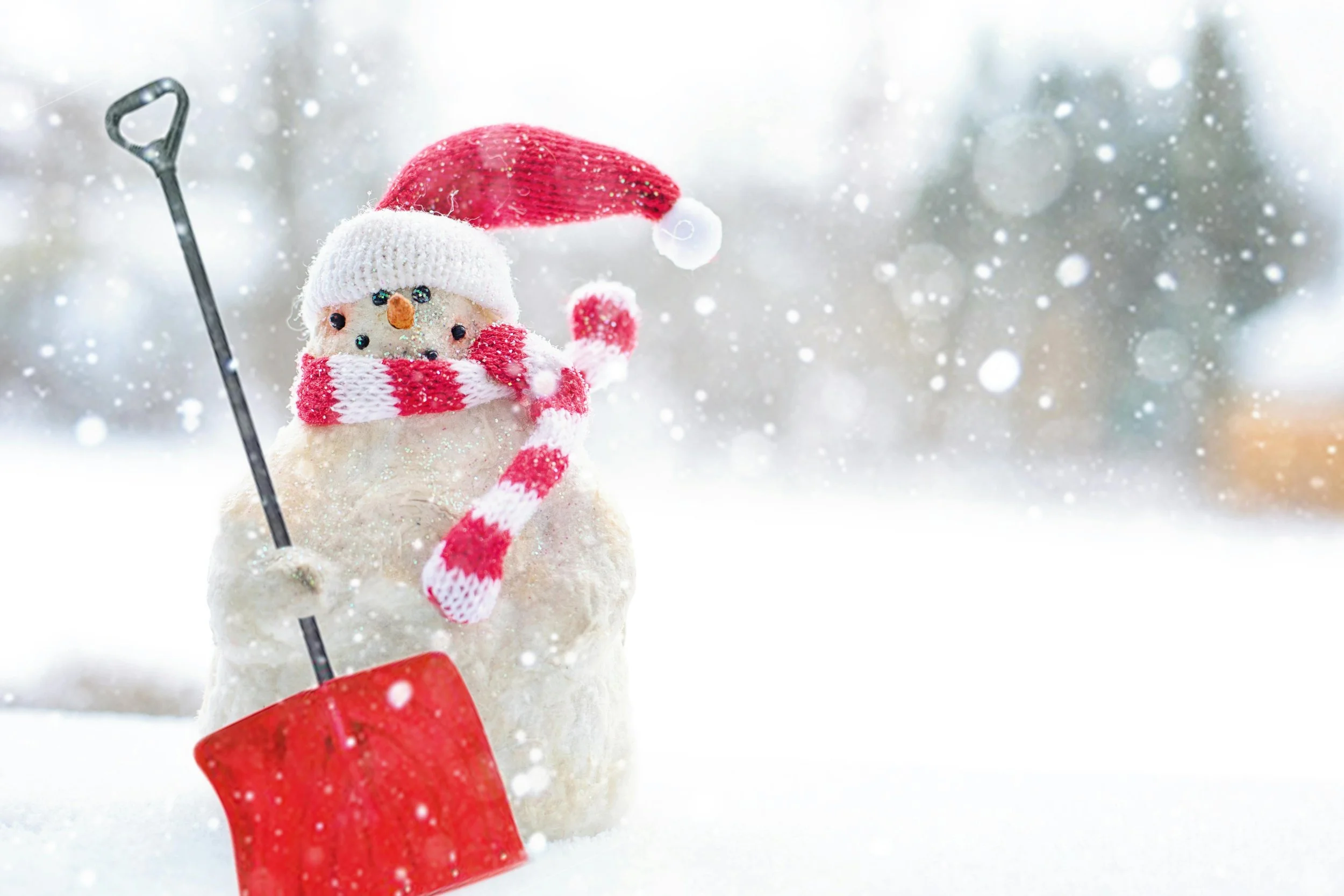 Managing Holiday Stress Through Nervous System Regulation: What We Tell Clients in Our Missoula Office