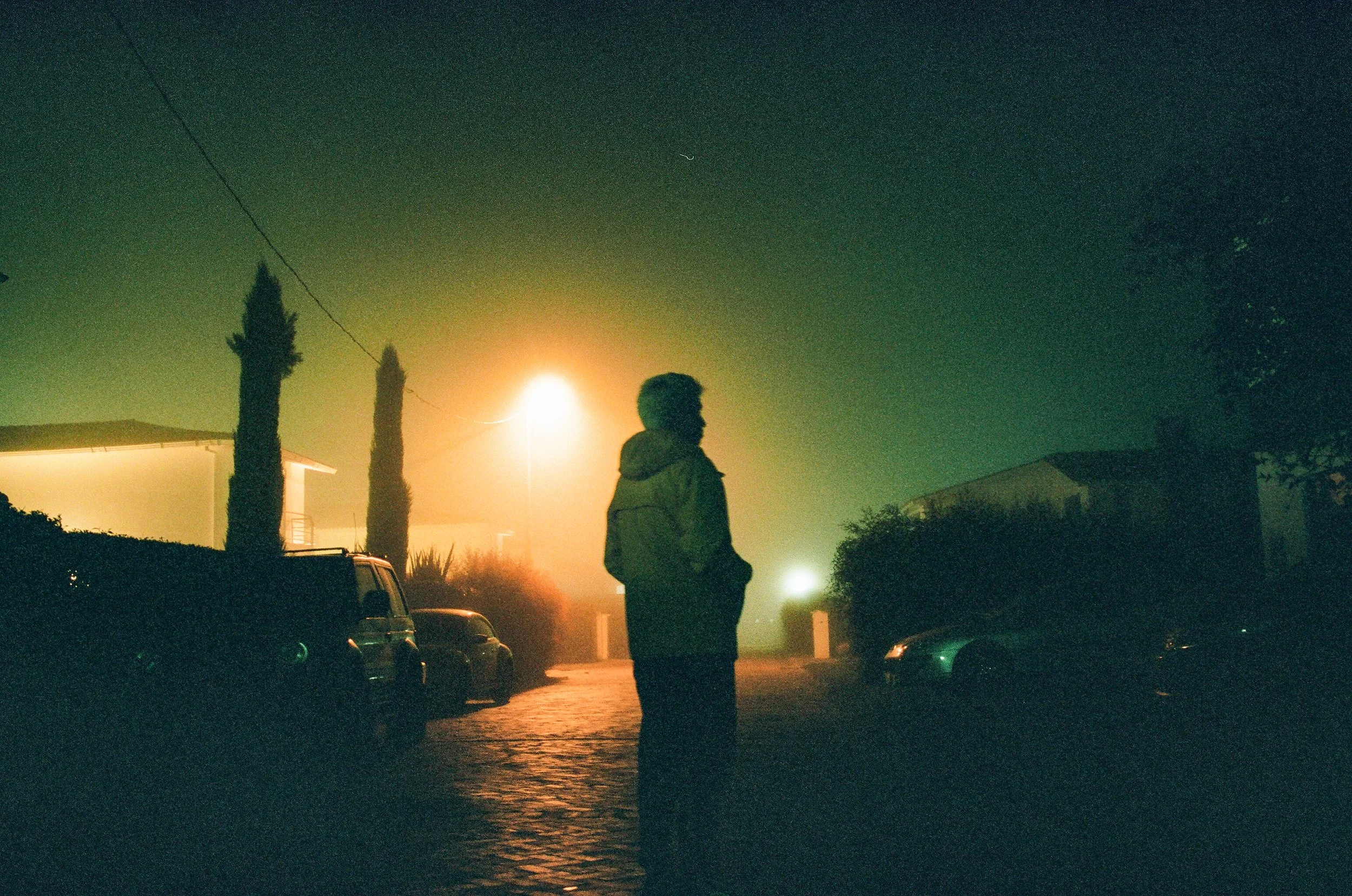 Silhouette of a person standing on a foggy street at night with parked cars, two tall cypress trees, and a bright streetlight.