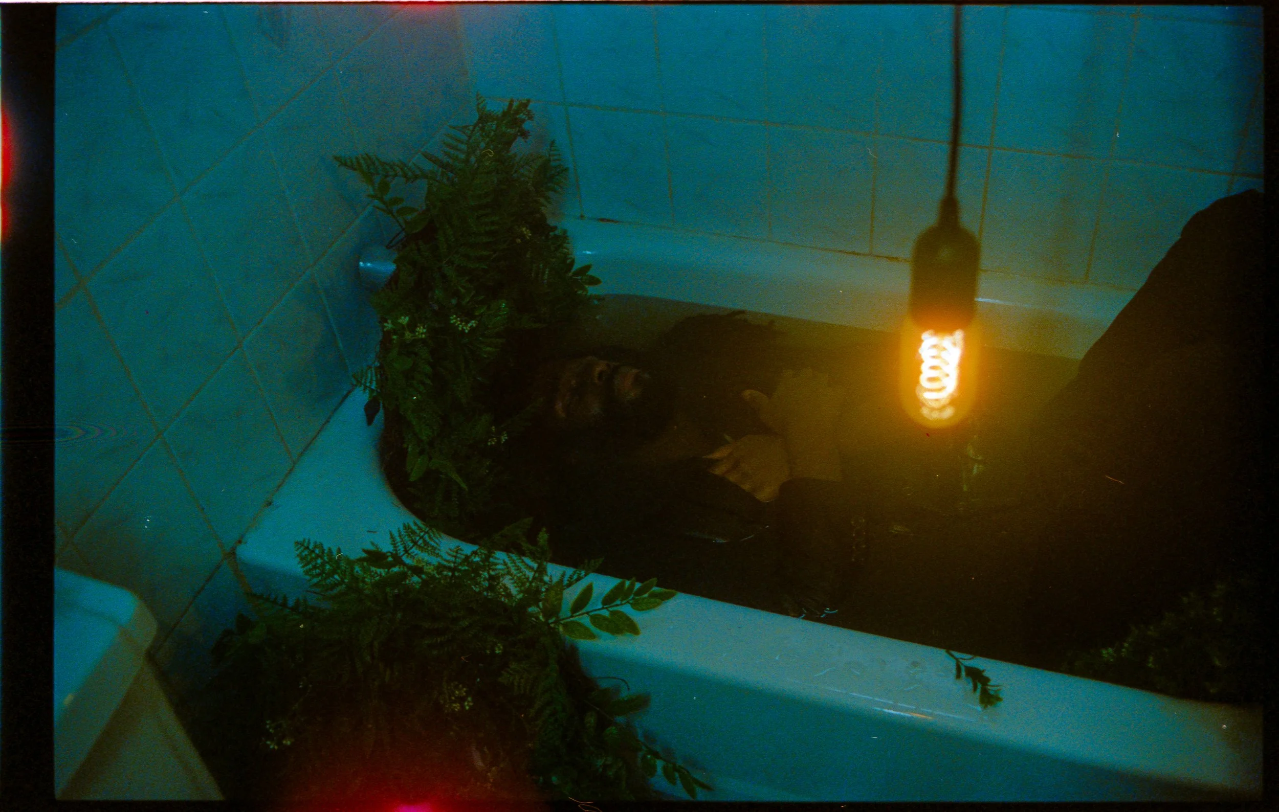 Person lying in a bathtub surrounded by green plants, with a glowing light bulb hanging above in a dimly lit room.