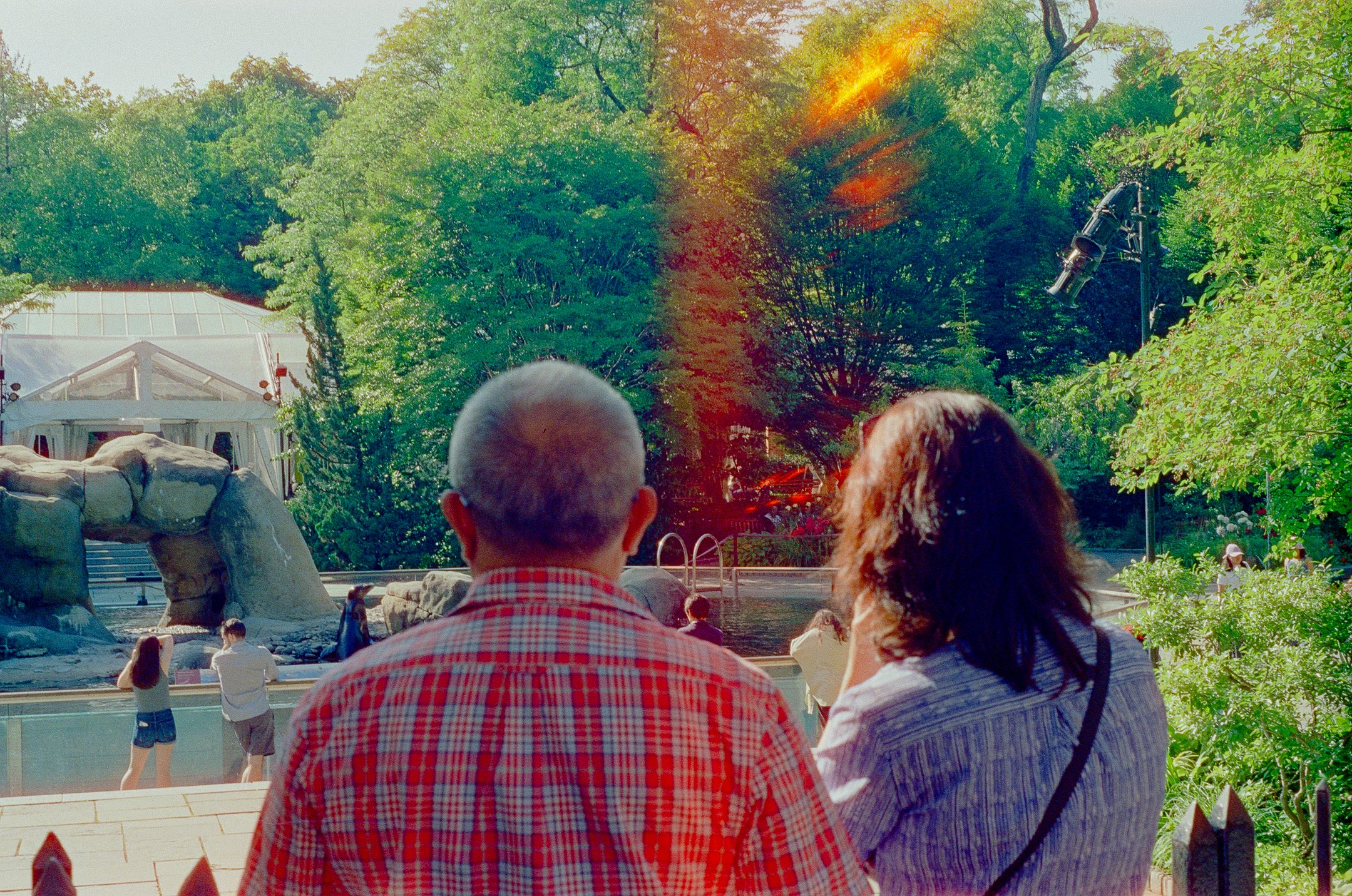 People watching a performance at a zoo or park with lush green trees and a scenic nature background.