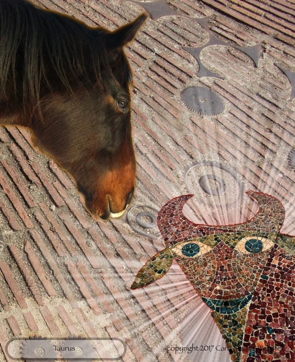 Taurus Labyrinth