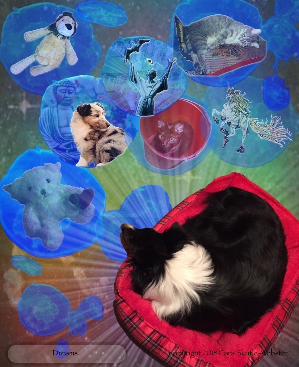 Gallery messages group .jpeg