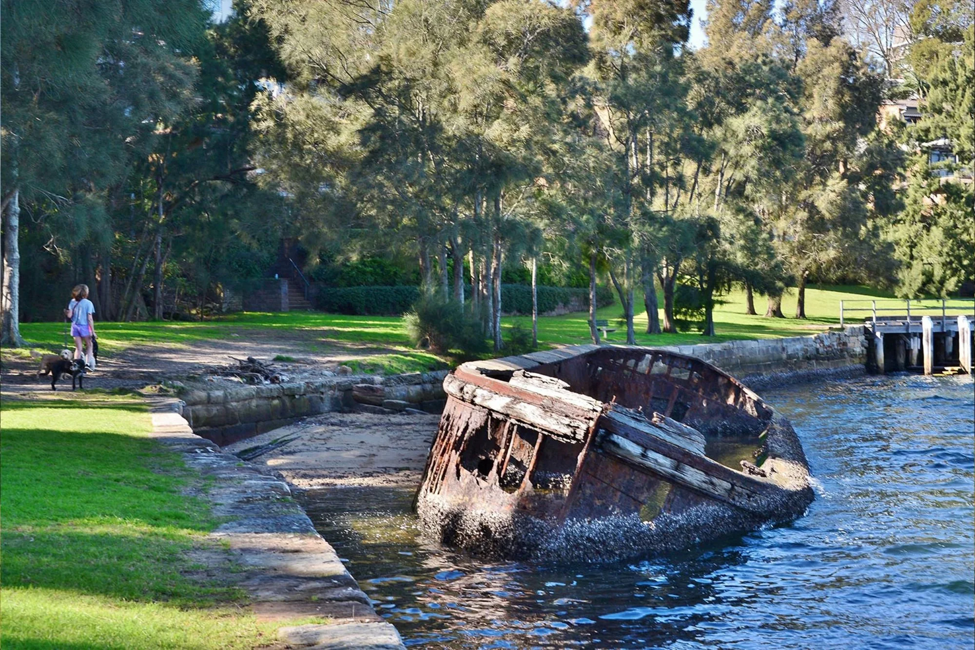 Historic shipwreck at Sawmillers Reserve McMahons Point Berrys Bay
