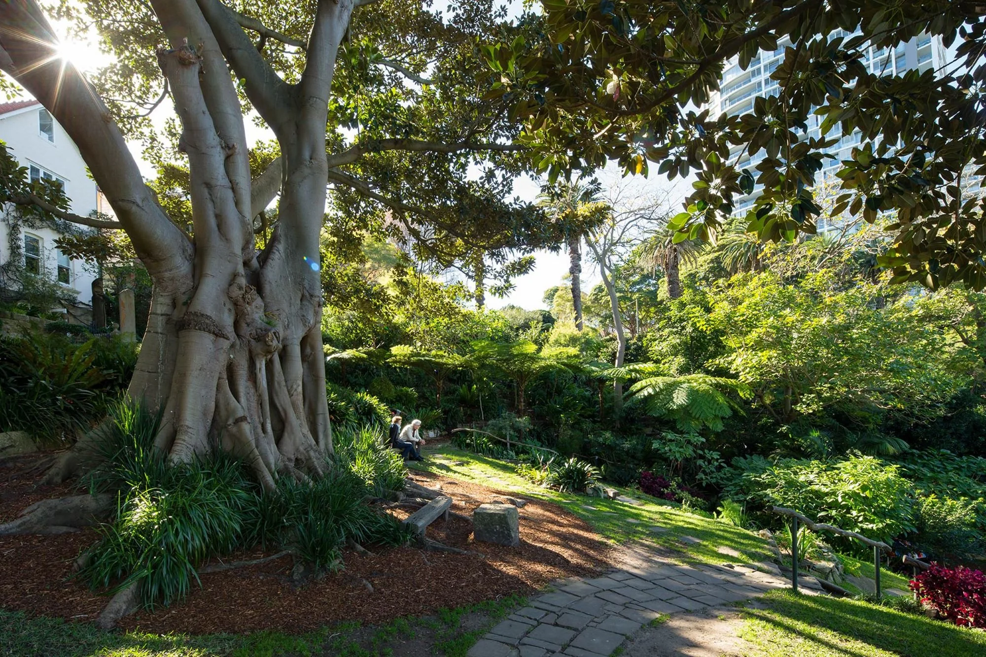 Wendy Whiteley Secret Garden Lavender Bay McMahons Point Sydney