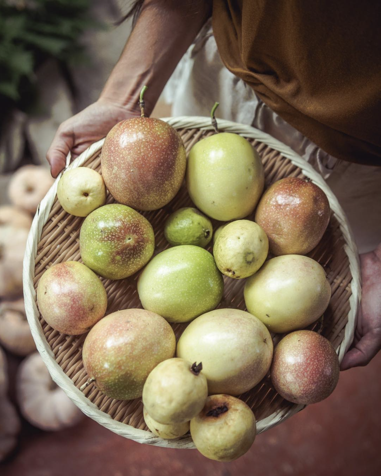 meanwhile, Fresh tropical fruits harvested from the garden for a farm-to-table experience at Kul Kul Farm Bali.