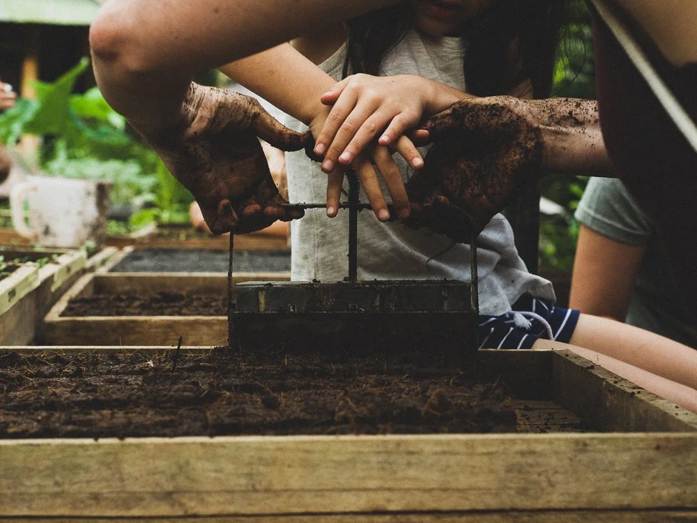 Children planting seeds in soil in a greenhouse.