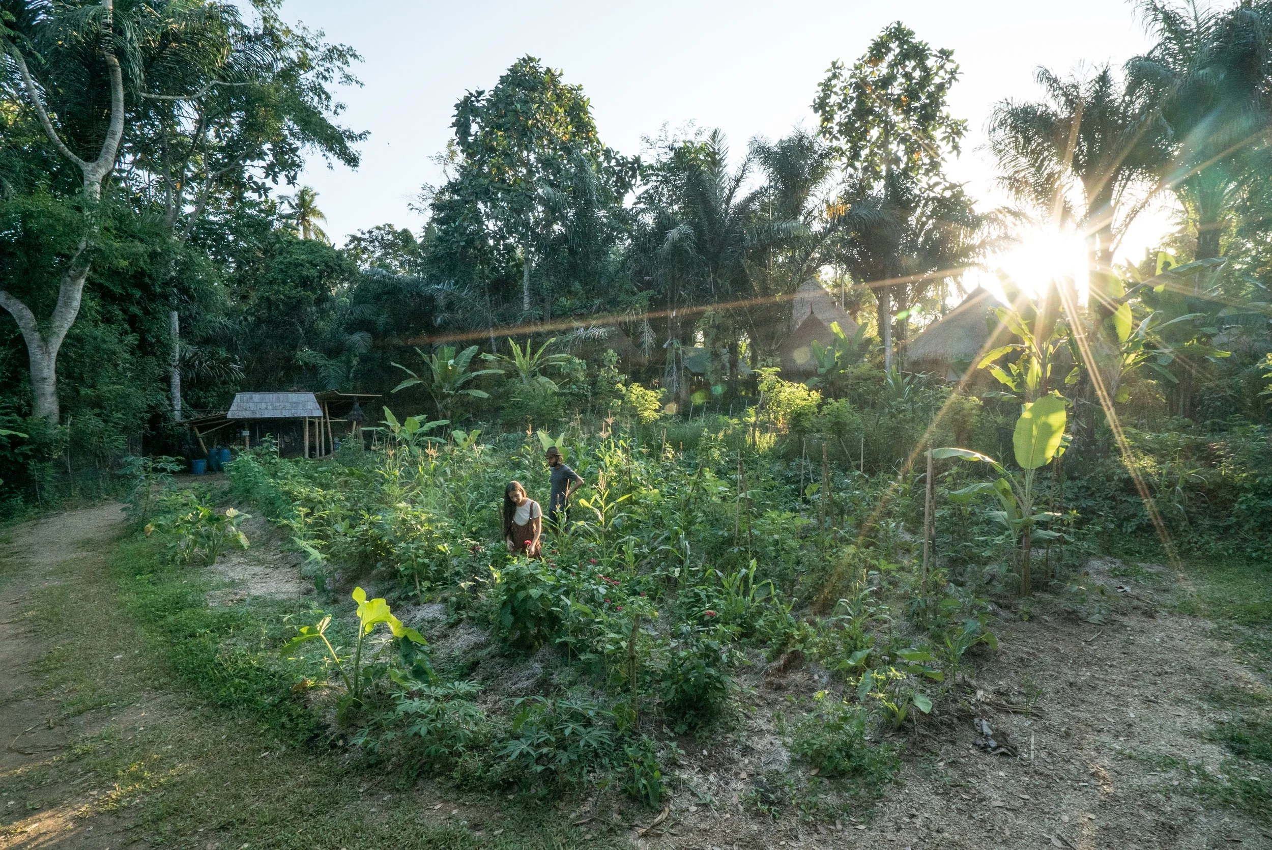 Venue - farm (3).jpg