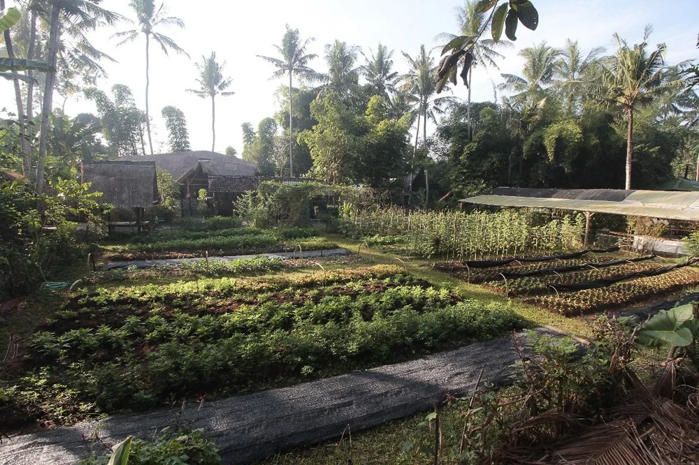 venue - farm (2).jpg