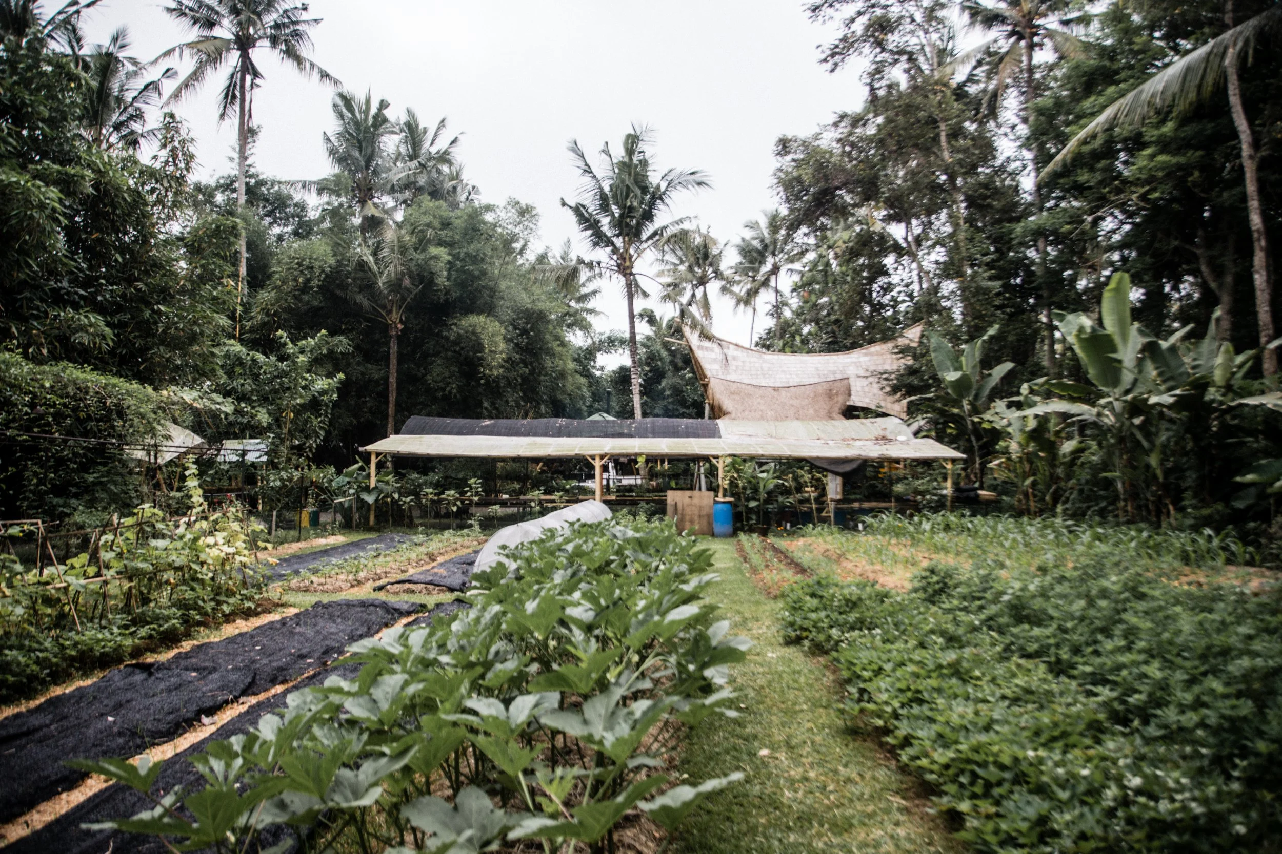 venue - farm (4).JPG